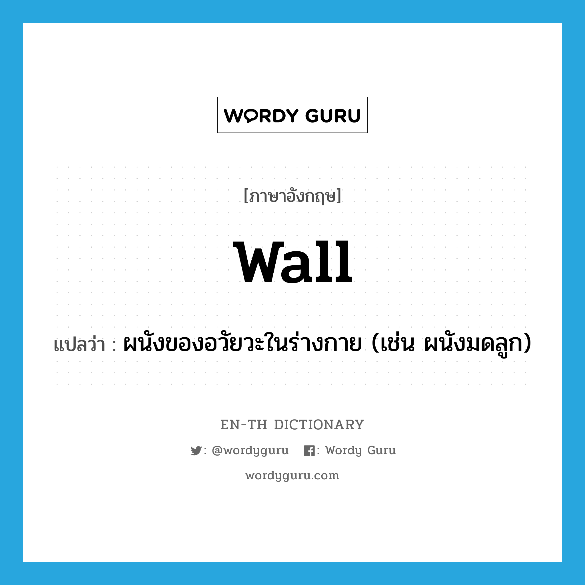 wall แปลว่า?, คำศัพท์ภาษาอังกฤษ wall แปลว่า ผนังของอวัยวะในร่างกาย (เช่น ผนังมดลูก) ประเภท N หมวด N