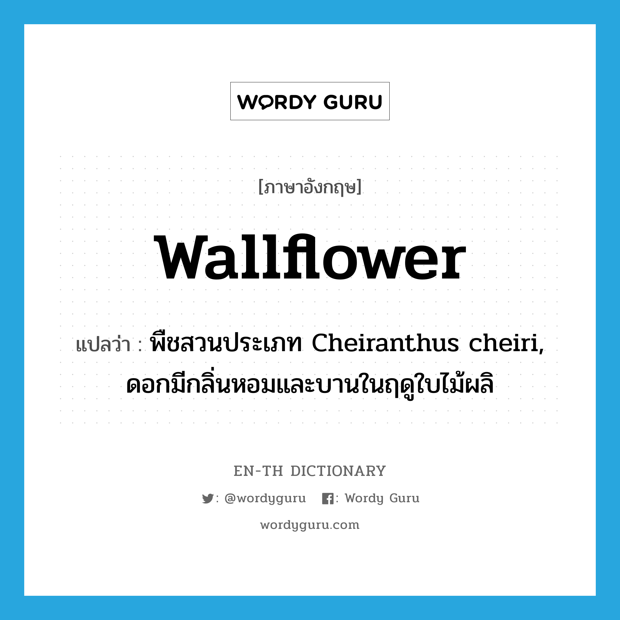 wallflower แปลว่า?, คำศัพท์ภาษาอังกฤษ wallflower แปลว่า พืชสวนประเภท Cheiranthus cheiri, ดอกมีกลิ่นหอมและบานในฤดูใบไม้ผลิ ประเภท N หมวด N