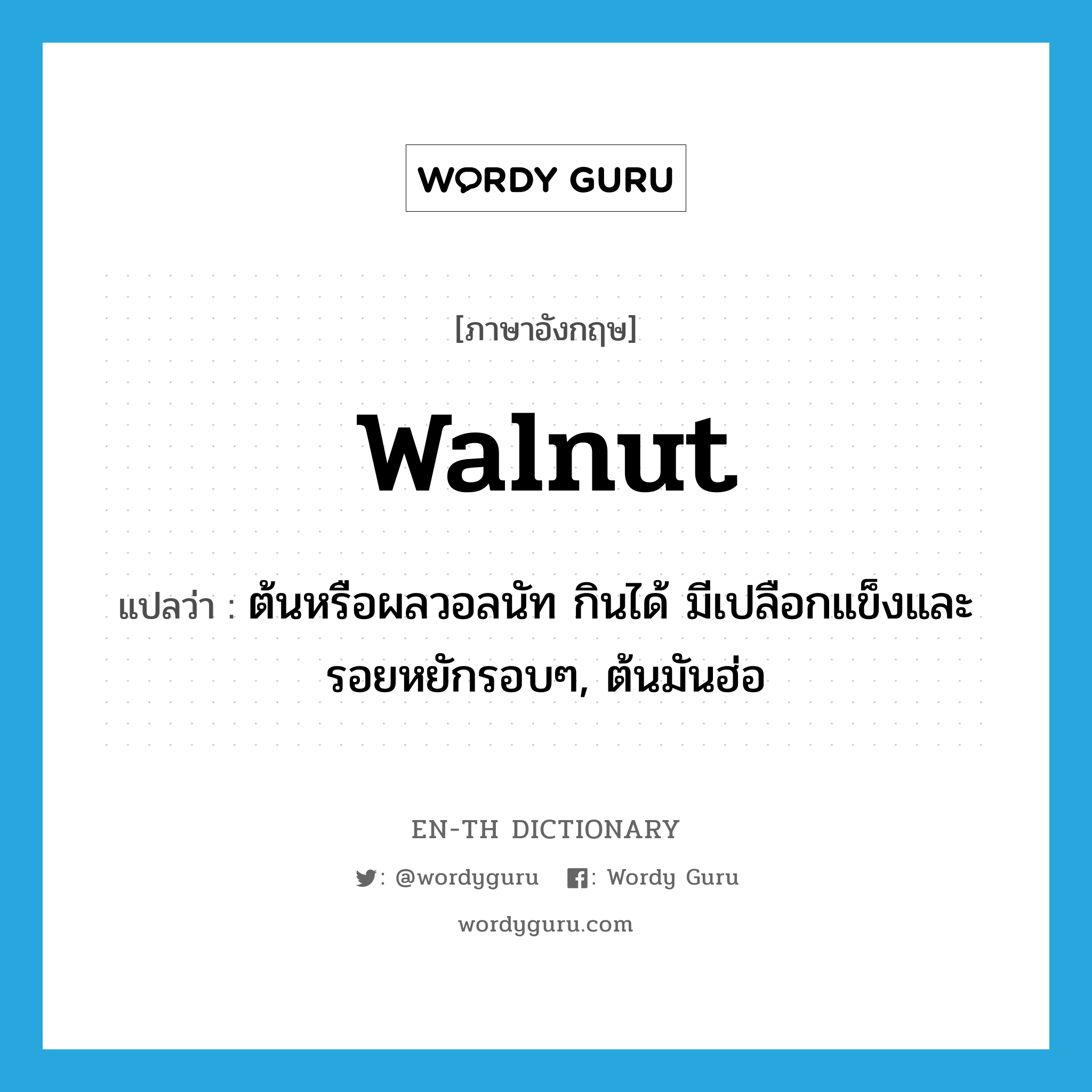 walnut แปลว่า?, คำศัพท์ภาษาอังกฤษ walnut แปลว่า ต้นหรือผลวอลนัท กินได้ มีเปลือกแข็งและรอยหยักรอบๆ, ต้นมันฮ่อ ประเภท N หมวด N