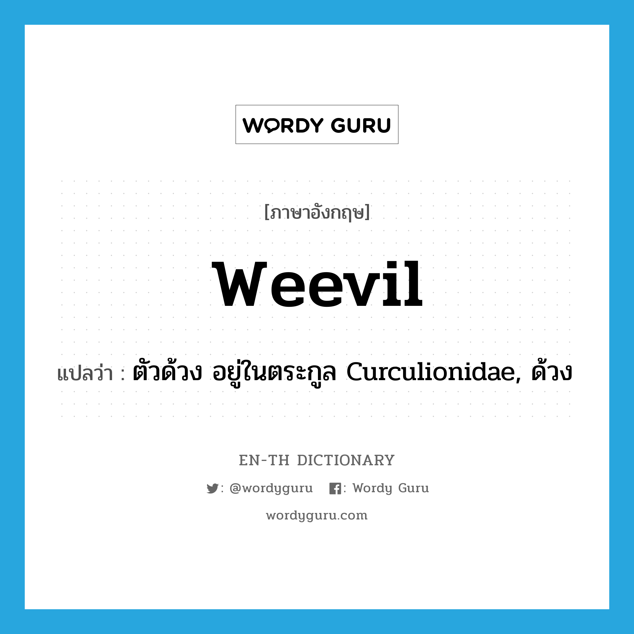 &#34;ตัวด้วง อยู่ในตระกูล Curculionidae, ด้วง&#34; (N), คำศัพท์ภาษาอังกฤษ ตัวด้วง อยู่ในตระกูล Curculionidae, ด้วง แปลว่า weevil ประเภท N หมวด N