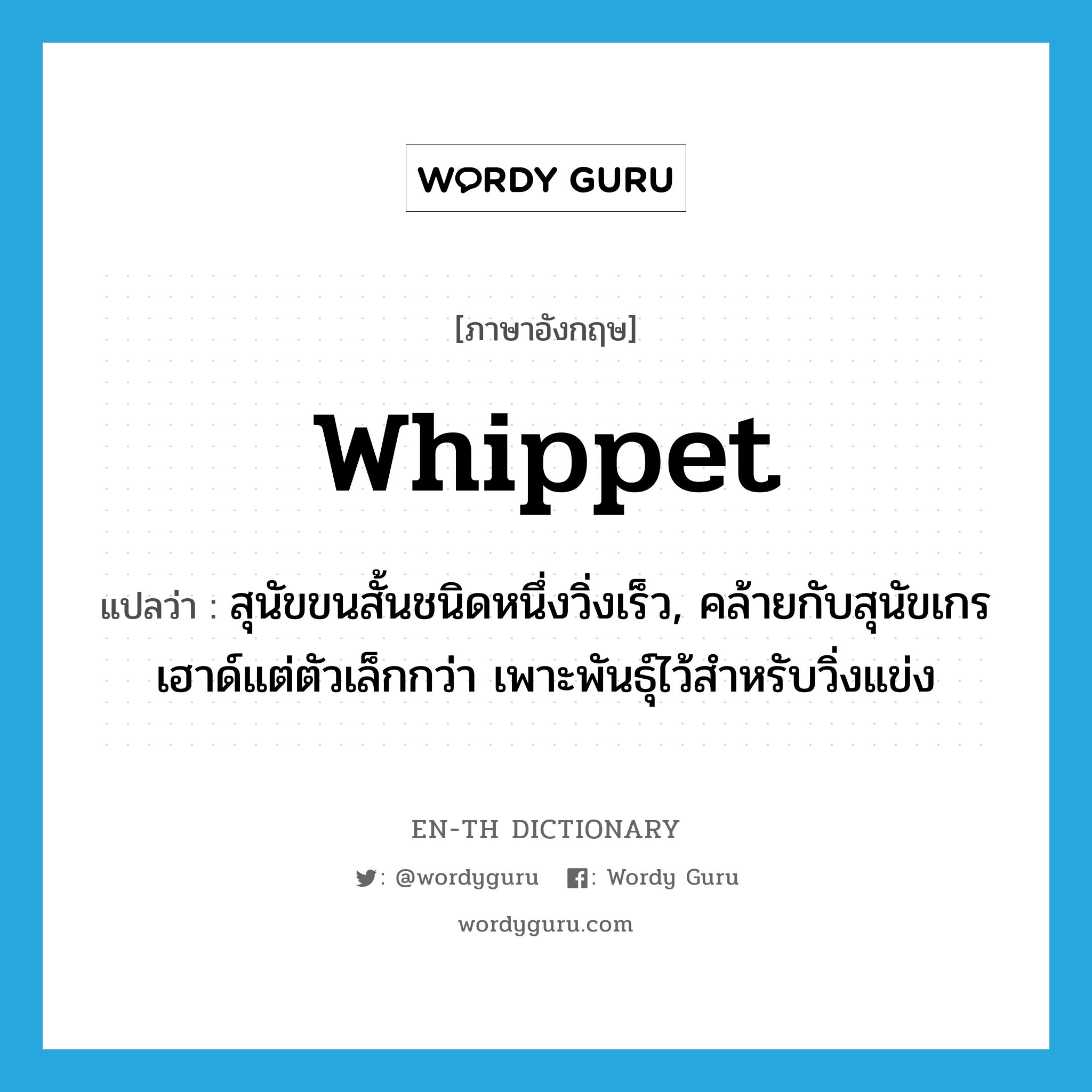 whippet แปลว่า?, คำศัพท์ภาษาอังกฤษ whippet แปลว่า สุนัขขนสั้นชนิดหนึ่งวิ่งเร็ว, คล้ายกับสุนัขเกรเฮาด์แต่ตัวเล็กกว่า เพาะพันธุ์ไว้สำหรับวิ่งแข่ง ประเภท N หมวด N