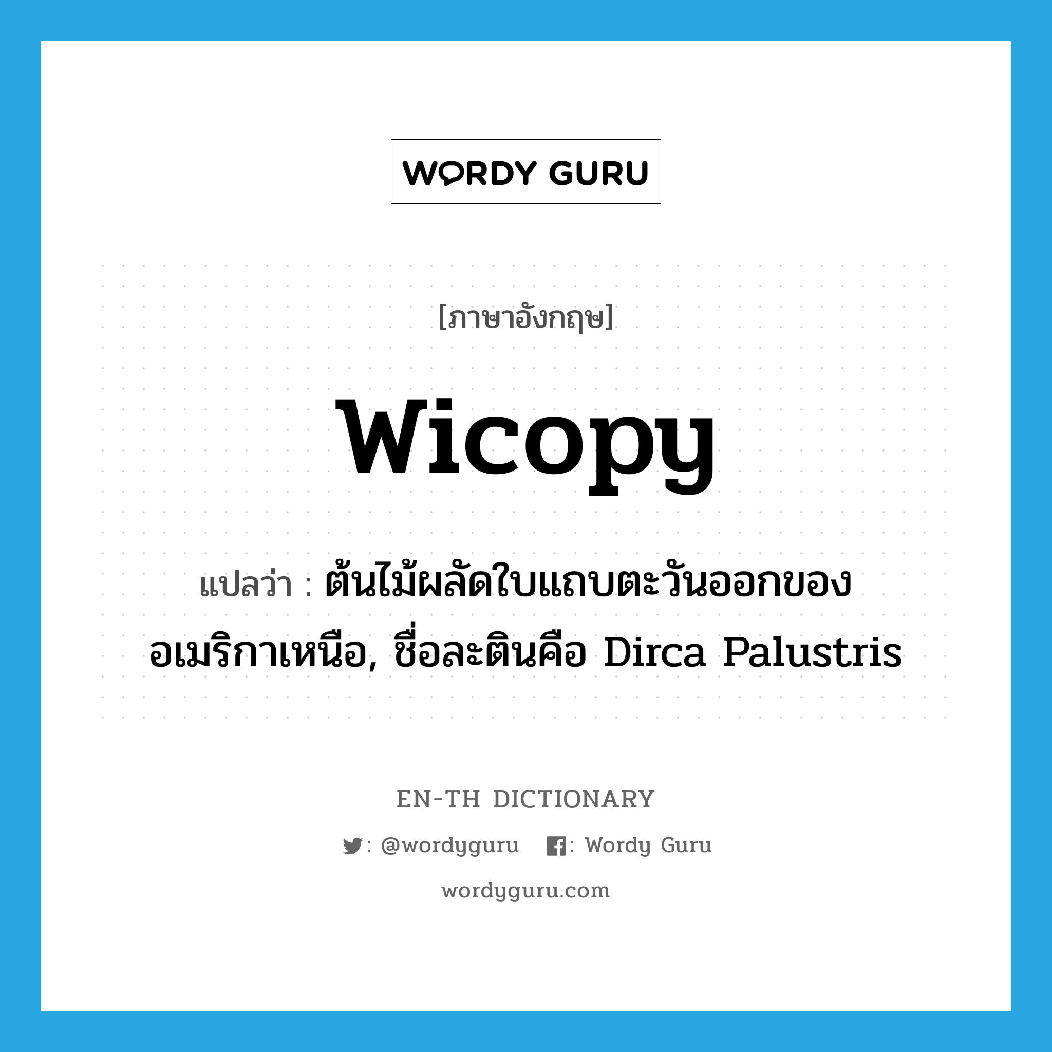 wicopy แปลว่า?, คำศัพท์ภาษาอังกฤษ wicopy แปลว่า ต้นไม้ผลัดใบแถบตะวันออกของอเมริกาเหนือ, ชื่อละตินคือ Dirca Palustris ประเภท N หมวด N