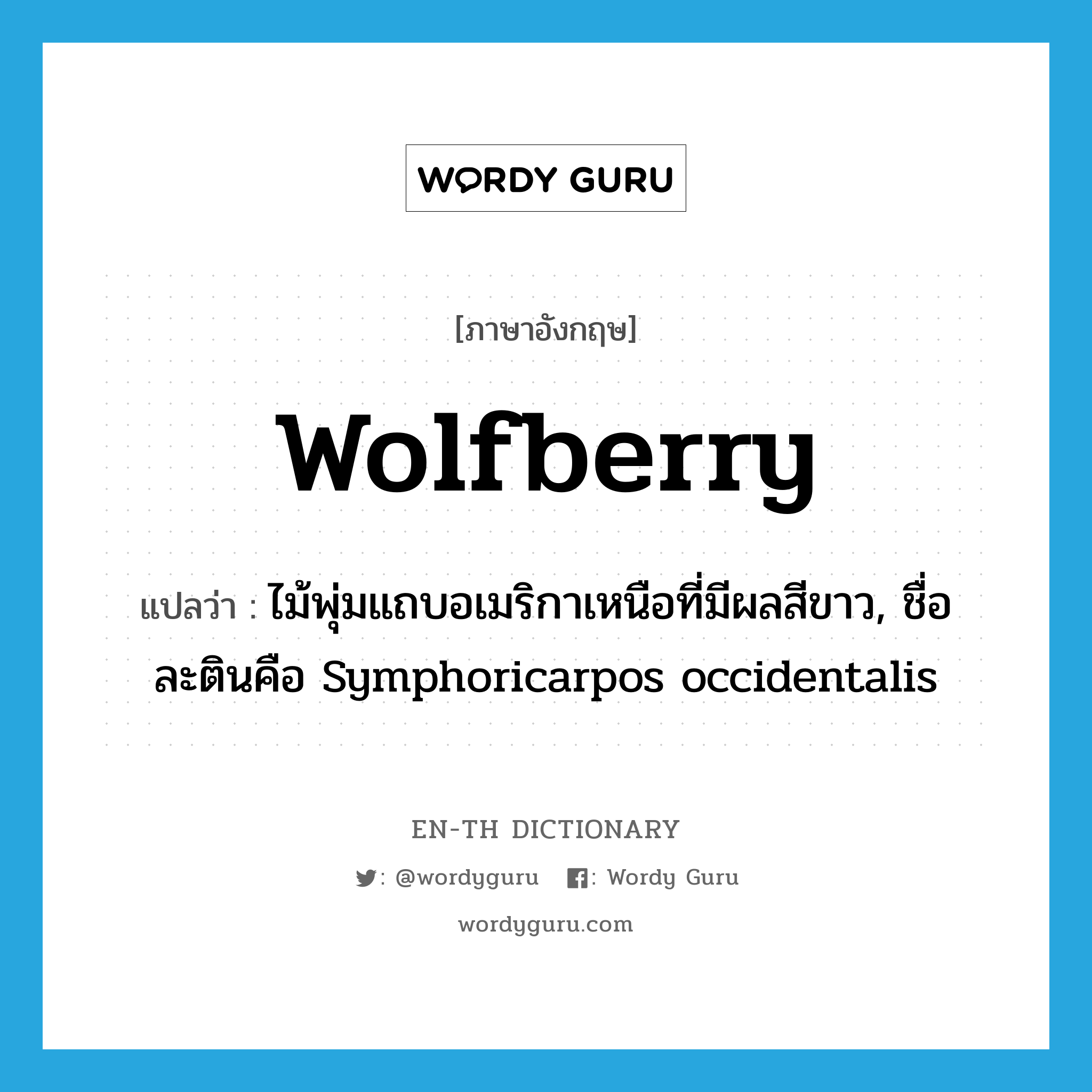 wolfberry แปลว่า?, คำศัพท์ภาษาอังกฤษ wolfberry แปลว่า ไม้พุ่มแถบอเมริกาเหนือที่มีผลสีขาว, ชื่อละตินคือ Symphoricarpos occidentalis ประเภท N หมวด N