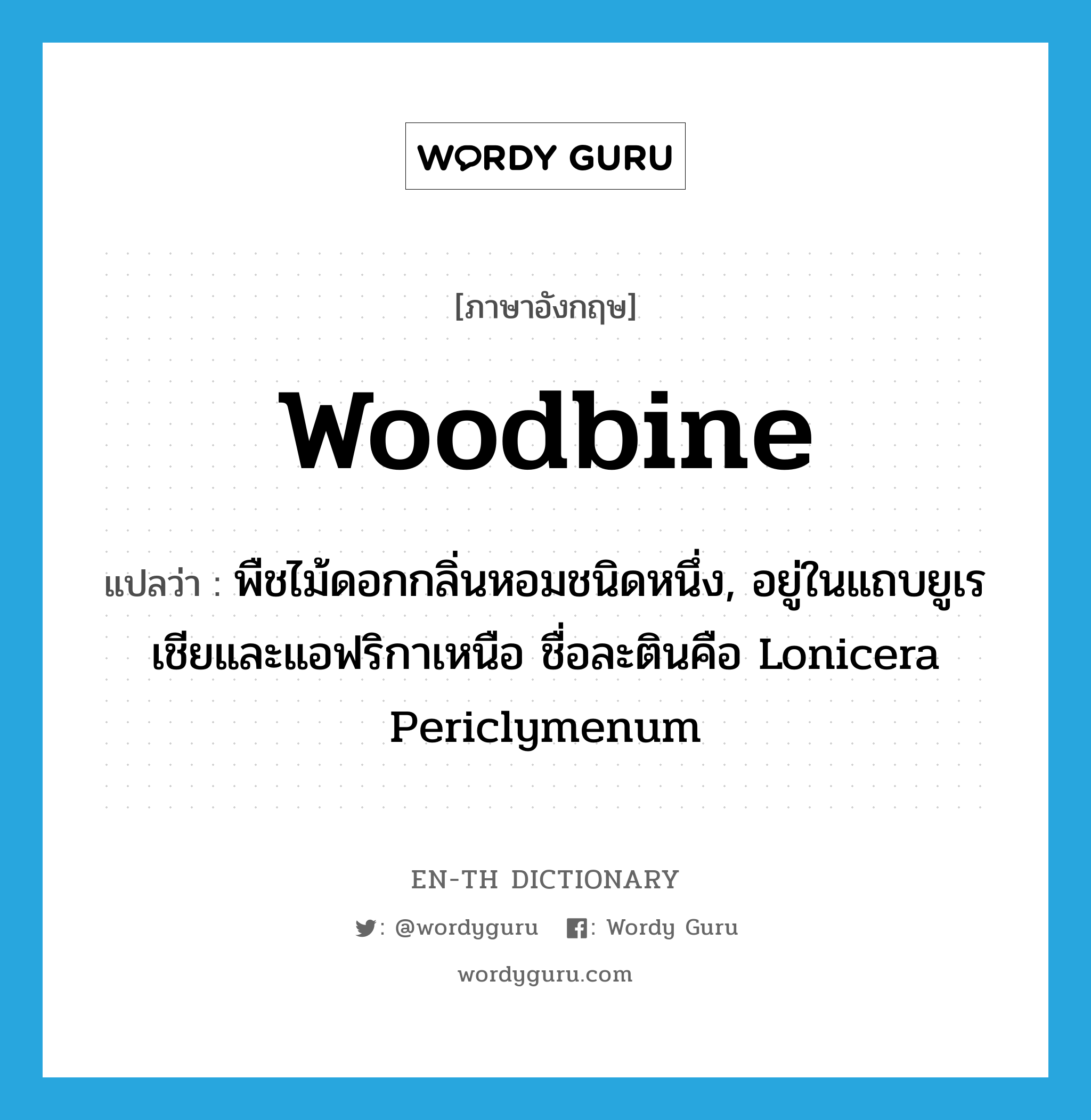 woodbine แปลว่า?, คำศัพท์ภาษาอังกฤษ woodbine แปลว่า พืชไม้ดอกกลิ่นหอมชนิดหนึ่ง, อยู่ในแถบยูเรเชียและแอฟริกาเหนือ ชื่อละตินคือ Lonicera Periclymenum ประเภท N หมวด N