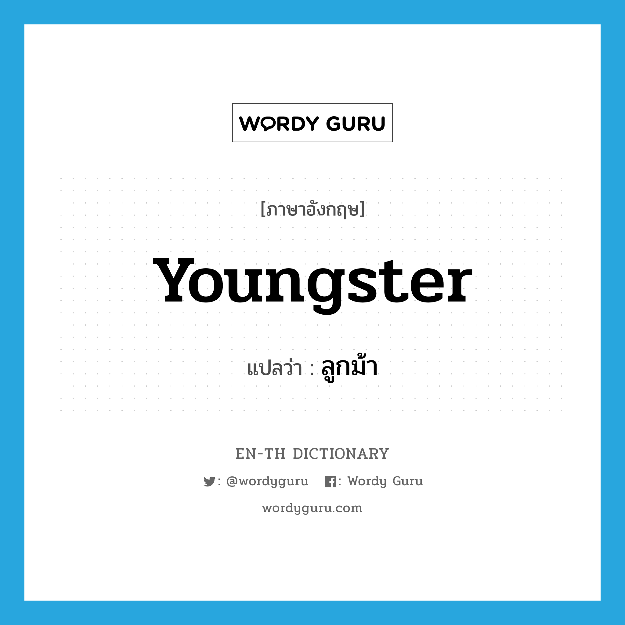 youngster แปลว่า?, คำศัพท์ภาษาอังกฤษ youngster แปลว่า ลูกม้า ประเภท N หมวด N