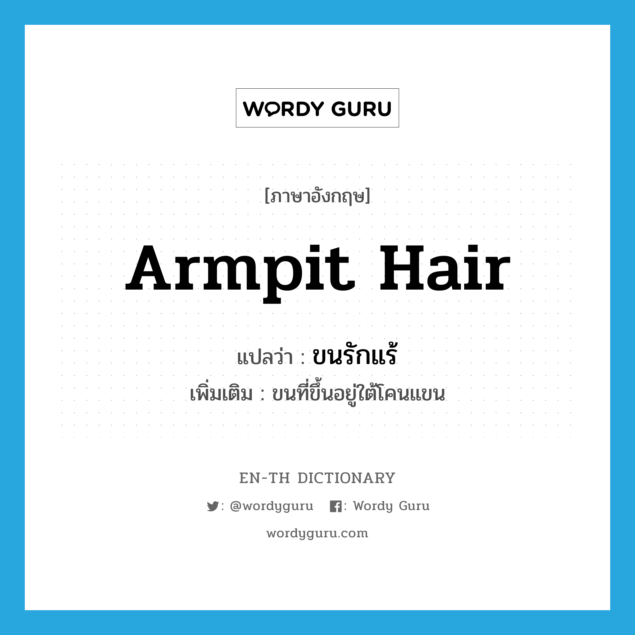 armpit hair แปลว่า?, คำศัพท์ภาษาอังกฤษ armpit hair แปลว่า ขนรักแร้ ประเภท N เพิ่มเติม ขนที่ขึ้นอยู่ใต้โคนแขน หมวด N