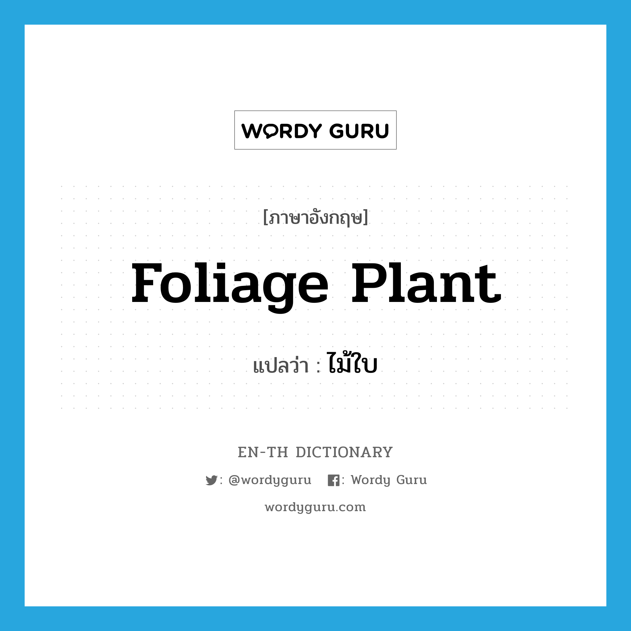 foliage plant แปลว่า?, คำศัพท์ภาษาอังกฤษ foliage plant แปลว่า ไม้ใบ ประเภท N หมวด N