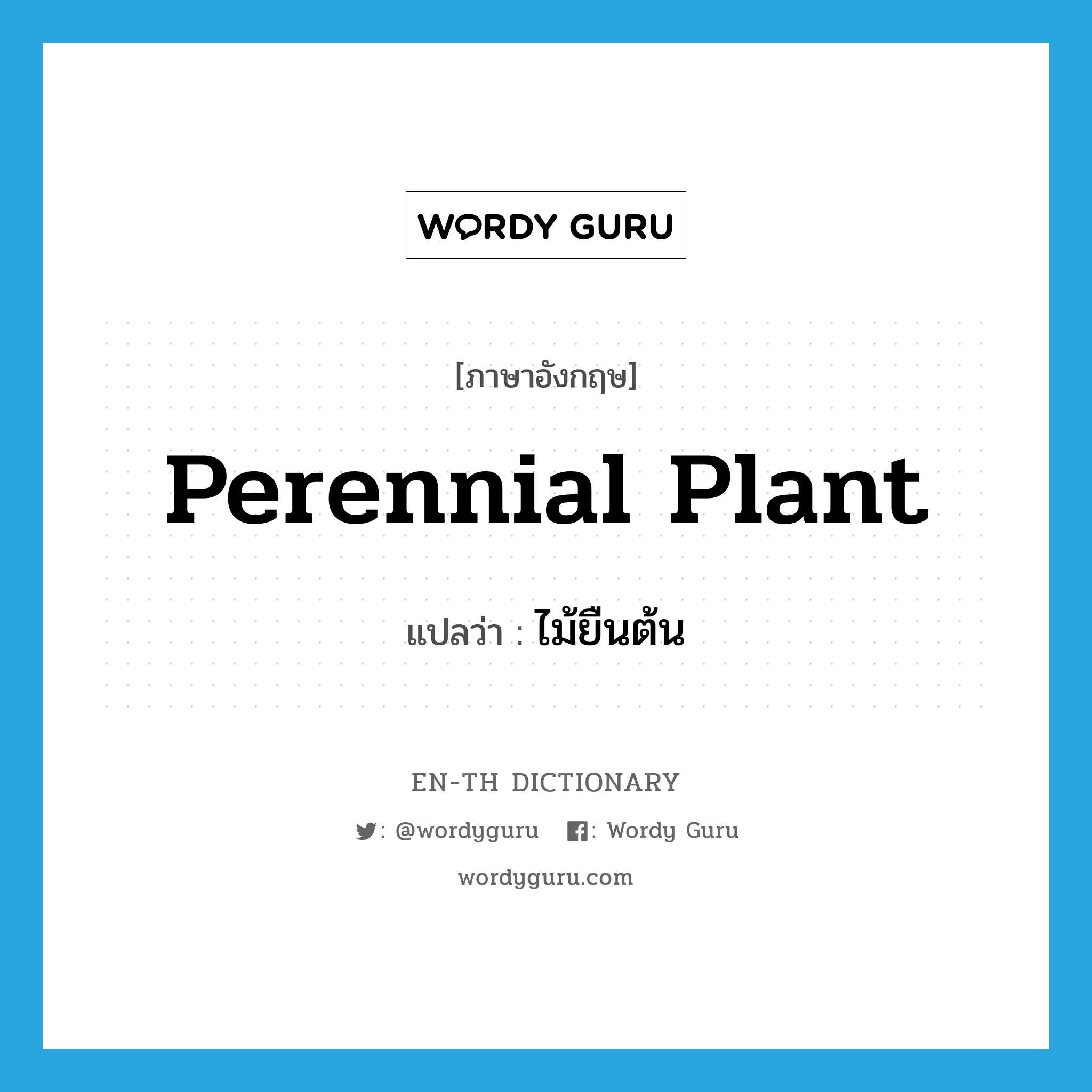 perennial plant แปลว่า?, คำศัพท์ภาษาอังกฤษ perennial plant แปลว่า ไม้ยืนต้น ประเภท N หมวด N