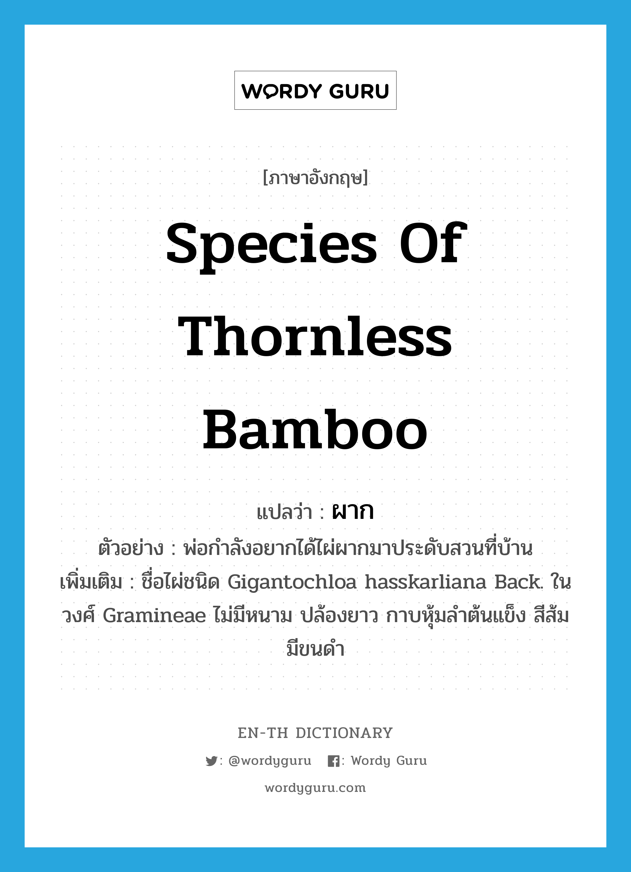 species of thornless bamboo แปลว่า?, คำศัพท์ภาษาอังกฤษ species of thornless bamboo แปลว่า ผาก ประเภท N ตัวอย่าง พ่อกำลังอยากได้ไผ่ผากมาประดับสวนที่บ้าน เพิ่มเติม ชื่อไผ่ชนิด Gigantochloa hasskarliana Back. ในวงศ์ Gramineae ไม่มีหนาม ปล้องยาว กาบหุ้มลําต้นแข็ง สีส้ม มีขนดํา หมวด N