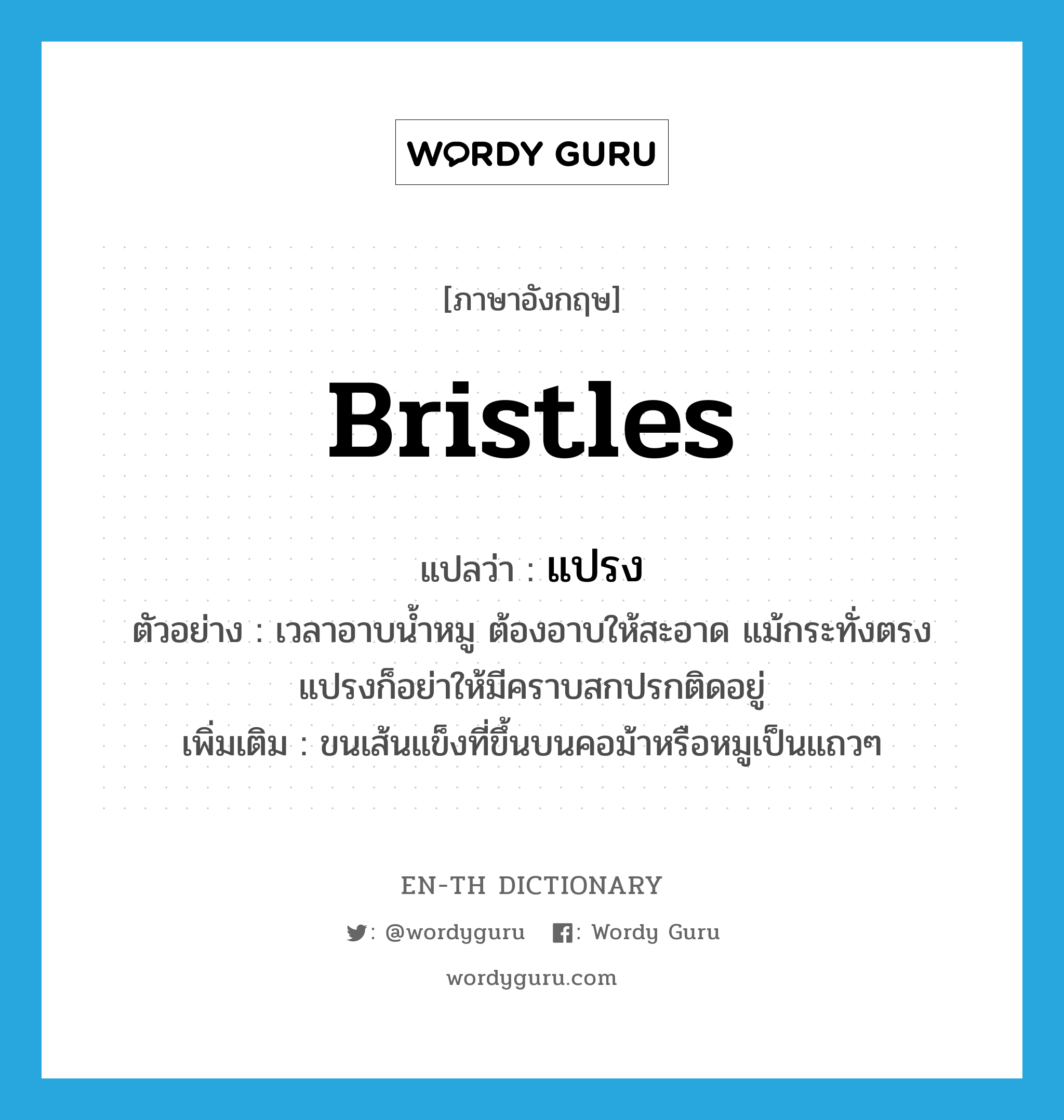 bristles แปลว่า?, คำศัพท์ภาษาอังกฤษ bristles แปลว่า แปรง ประเภท N ตัวอย่าง เวลาอาบน้ำหมู ต้องอาบให้สะอาด แม้กระทั่งตรงแปรงก็อย่าให้มีคราบสกปรกติดอยู่ เพิ่มเติม ขนเส้นแข็งที่ขึ้นบนคอม้าหรือหมูเป็นแถวๆ หมวด N