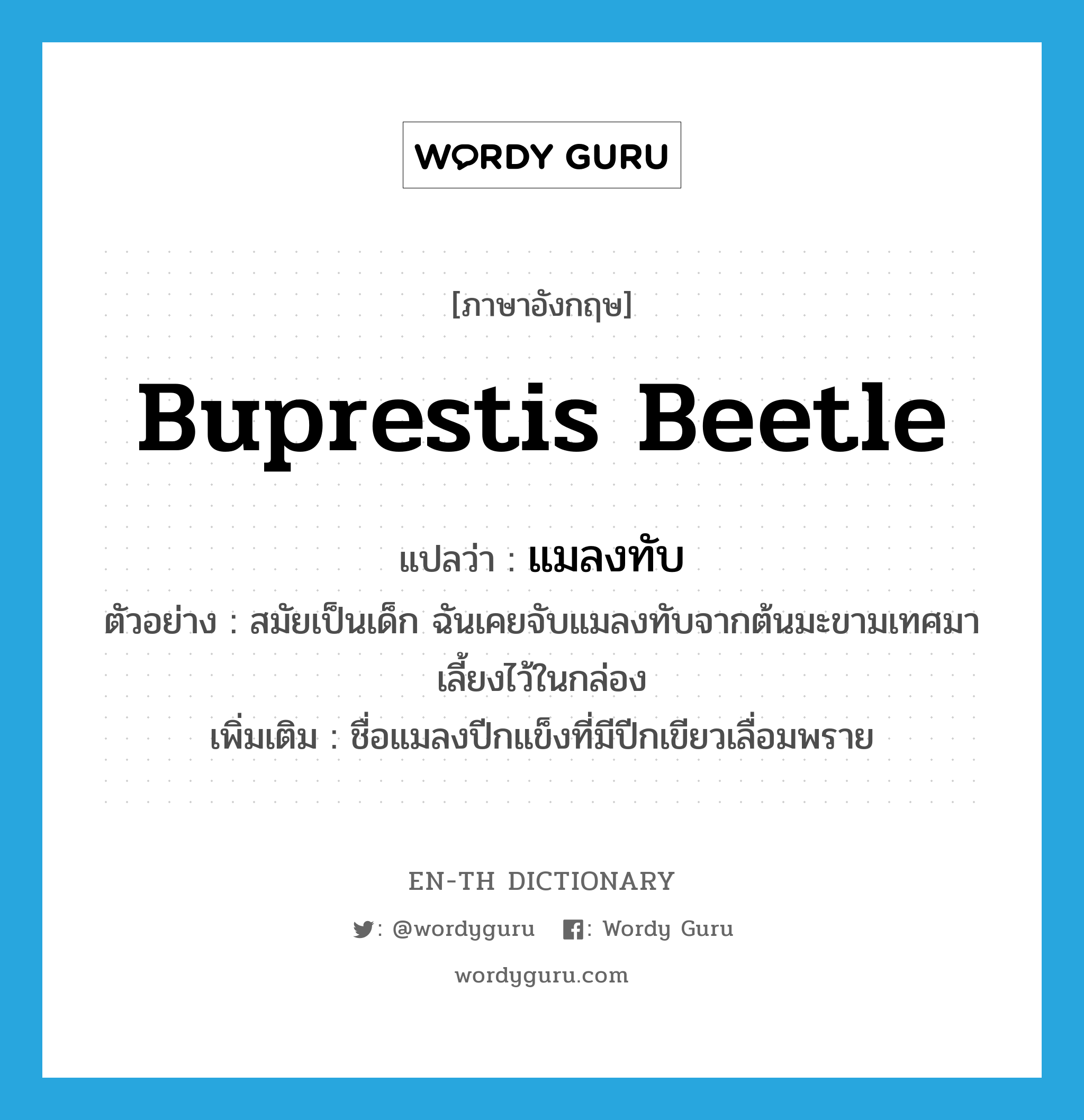 Buprestis beetle แปลว่า?, คำศัพท์ภาษาอังกฤษ Buprestis beetle แปลว่า แมลงทับ ประเภท N ตัวอย่าง สมัยเป็นเด็ก ฉันเคยจับแมลงทับจากต้นมะขามเทศมาเลี้ยงไว้ในกล่อง เพิ่มเติม ชื่อแมลงปีกแข็งที่มีปีกเขียวเลื่อมพราย หมวด N