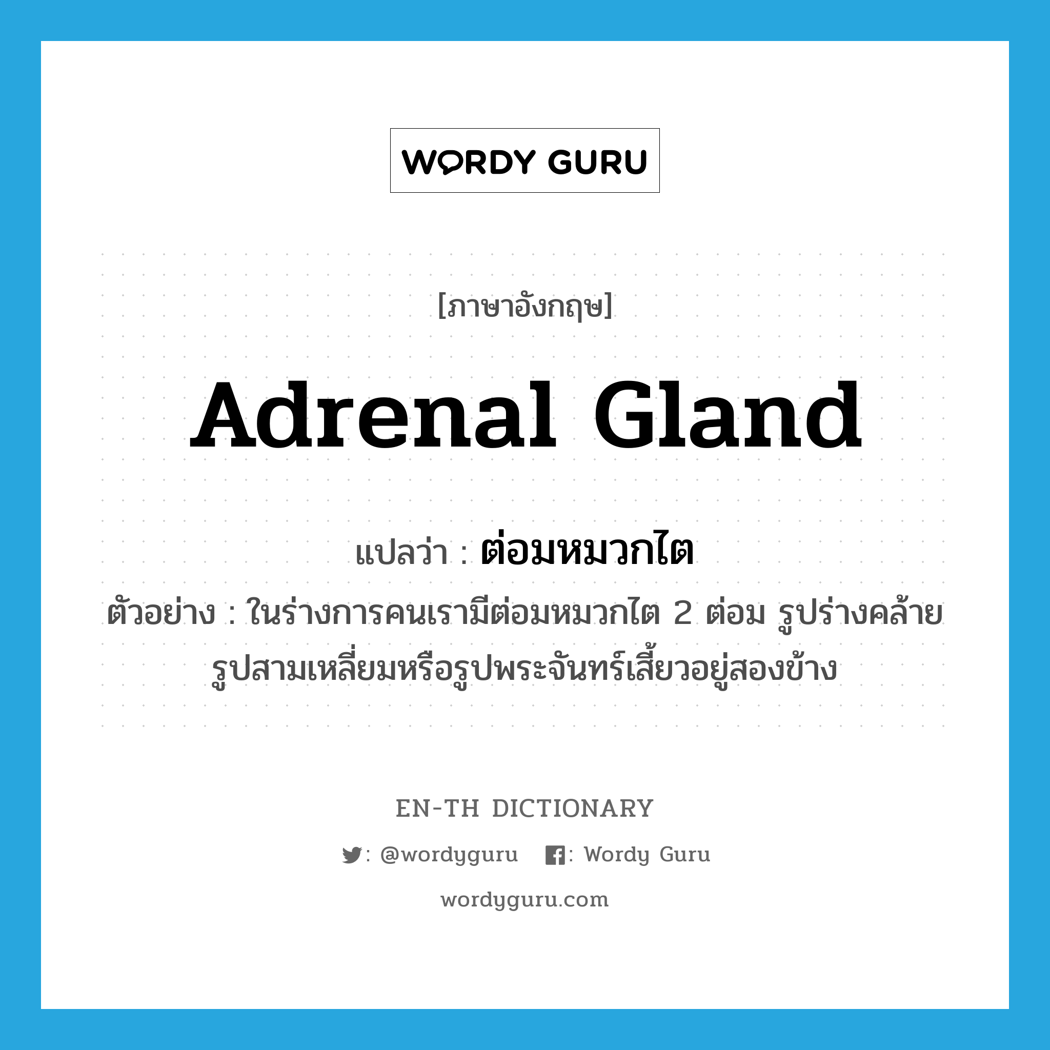 adrenal gland แปลว่า?, คำศัพท์ภาษาอังกฤษ adrenal gland แปลว่า ต่อมหมวกไต ประเภท N ตัวอย่าง ในร่างการคนเรามีต่อมหมวกไต 2 ต่อม รูปร่างคล้ายรูปสามเหลี่ยมหรือรูปพระจันทร์เสี้ยวอยู่สองข้าง หมวด N