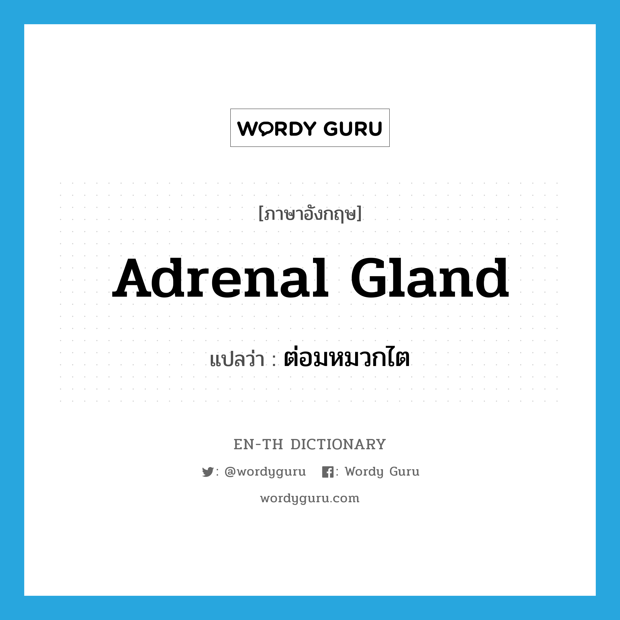 adrenal gland แปลว่า?, คำศัพท์ภาษาอังกฤษ adrenal gland แปลว่า ต่อมหมวกไต ประเภท N หมวด N