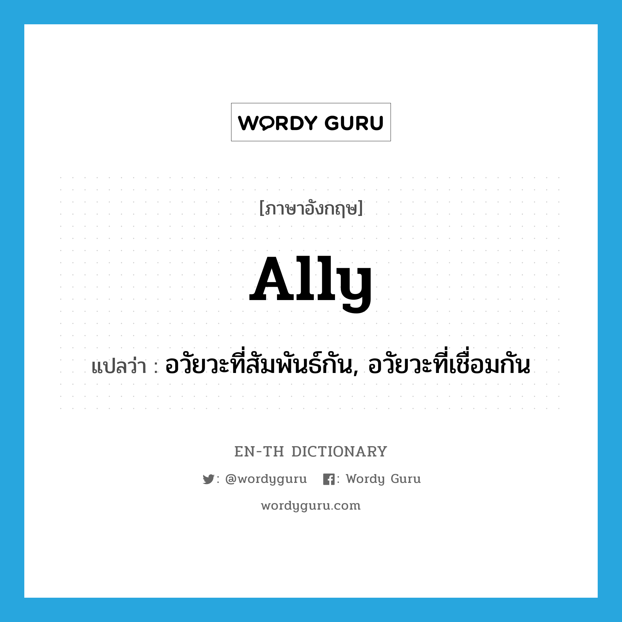 ally แปลว่า?, คำศัพท์ภาษาอังกฤษ ally แปลว่า อวัยวะที่สัมพันธ์กัน, อวัยวะที่เชื่อมกัน ประเภท N หมวด N