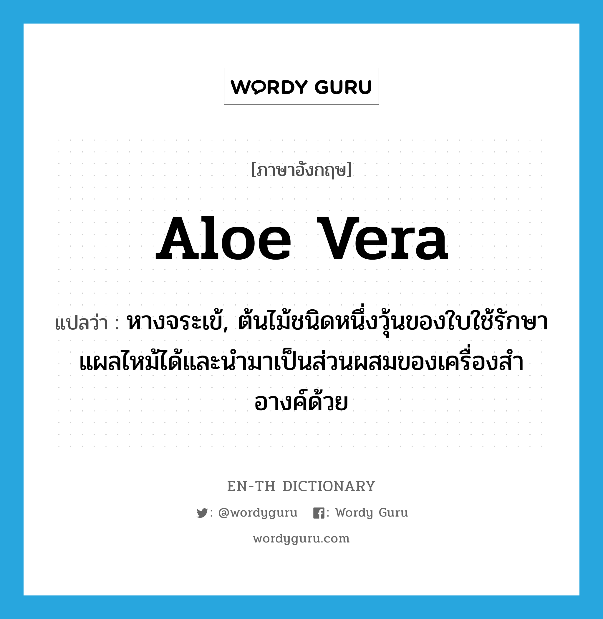 aloe vera แปลว่า?, คำศัพท์ภาษาอังกฤษ aloe vera แปลว่า หางจระเข้, ต้นไม้ชนิดหนึ่งวุ้นของใบใช้รักษาแผลไหม้ได้และนำมาเป็นส่วนผสมของเครื่องสำอางค์ด้วย ประเภท N หมวด N