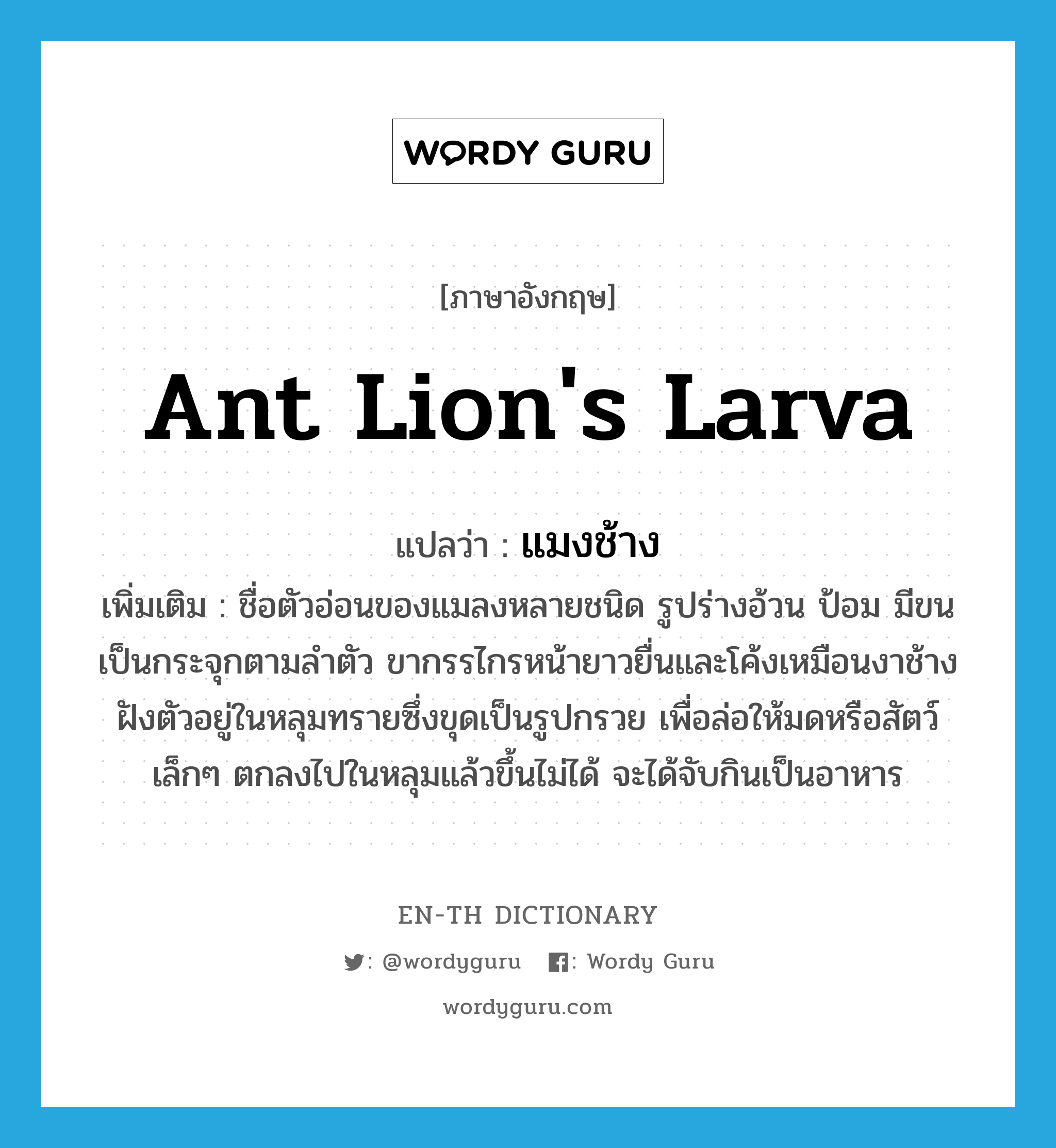 ant lion&#39;s larva แปลว่า?, คำศัพท์ภาษาอังกฤษ ant lion&#39;s larva แปลว่า แมงช้าง ประเภท N เพิ่มเติม ชื่อตัวอ่อนของแมลงหลายชนิด รูปร่างอ้วน ป้อม มีขนเป็นกระจุกตามลำตัว ขากรรไกรหน้ายาวยื่นและโค้งเหมือนงาช้าง ฝังตัวอยู่ในหลุมทรายซึ่งขุดเป็นรูปกรวย เพื่อล่อให้มดหรือสัตว์เล็กๆ ตกลงไปในหลุมแล้วขึ้นไม่ได้ จะได้จับกินเป็นอาหาร หมวด N