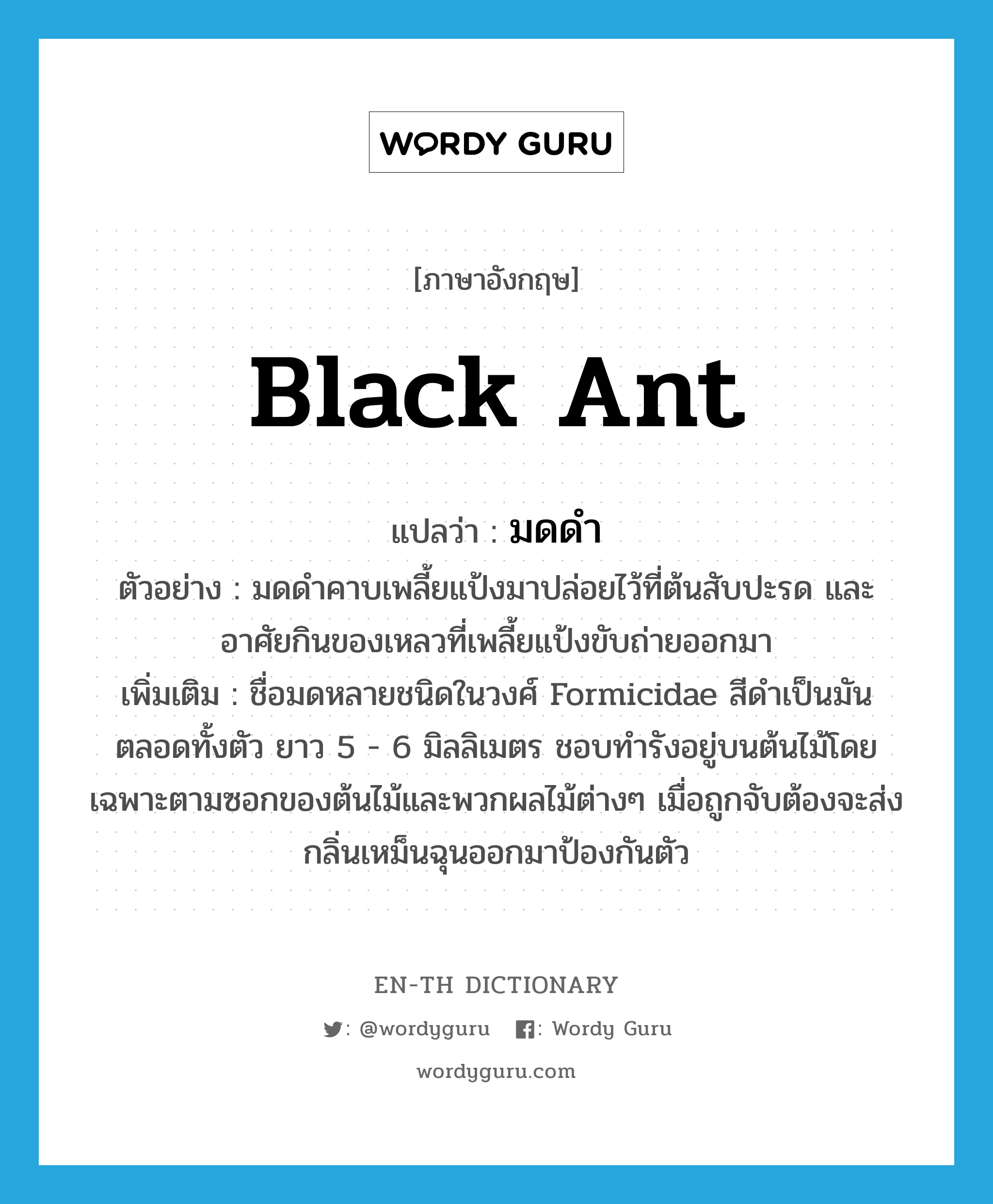 black ant แปลว่า?, คำศัพท์ภาษาอังกฤษ black ant แปลว่า มดดำ ประเภท N ตัวอย่าง มดดำคาบเพลี้ยแป้งมาปล่อยไว้ที่ต้นสับปะรด และอาศัยกินของเหลวที่เพลี้ยแป้งขับถ่ายออกมา เพิ่มเติม ชื่อมดหลายชนิดในวงศ์ Formicidae สีดำเป็นมันตลอดทั้งตัว ยาว 5 - 6 มิลลิเมตร ชอบทำรังอยู่บนต้นไม้โดยเฉพาะตามซอกของต้นไม้และพวกผลไม้ต่างๆ เมื่อถูกจับต้องจะส่งกลิ่นเหม็นฉุนออกมาป้องกันตัว หมวด N