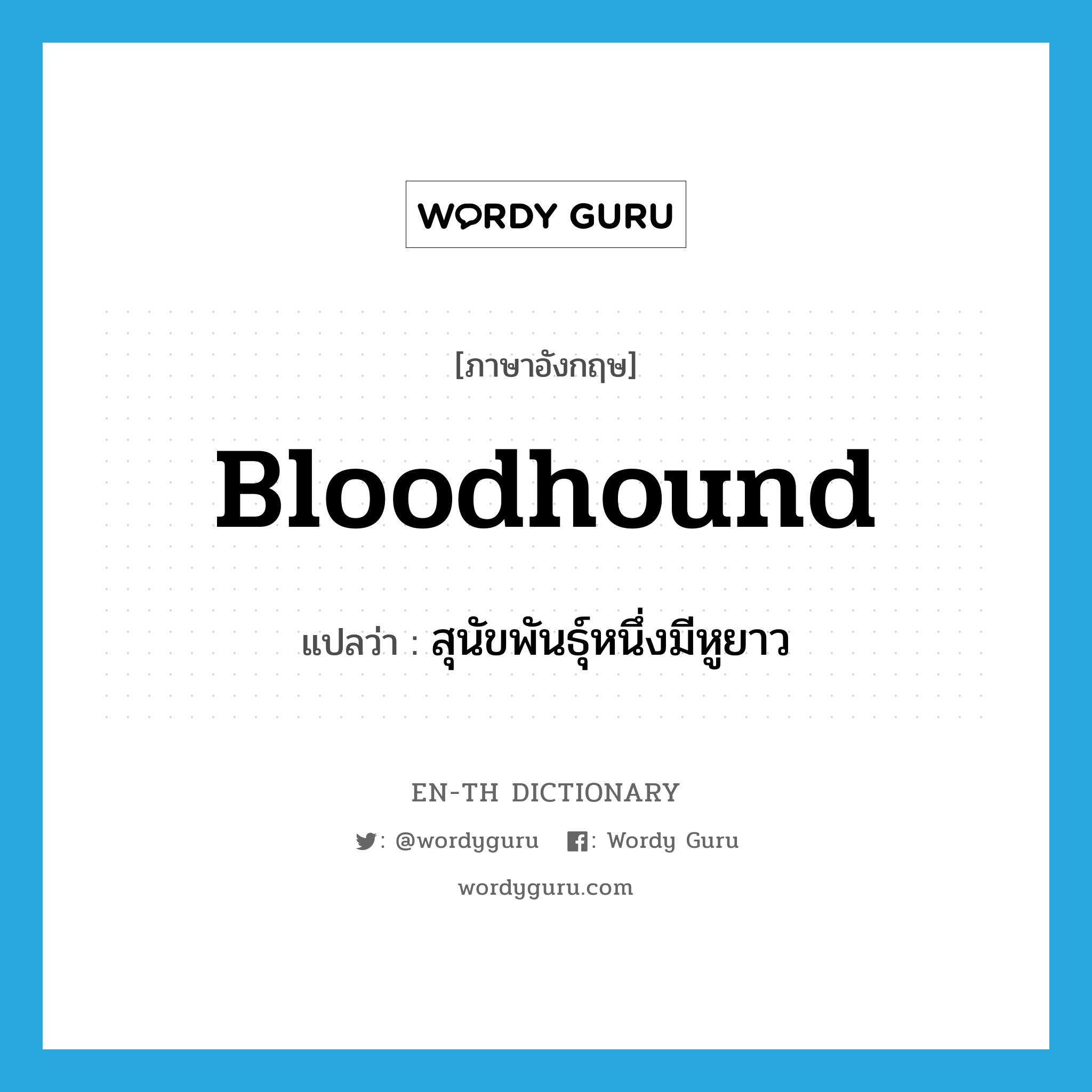 bloodhound แปลว่า?, คำศัพท์ภาษาอังกฤษ bloodhound แปลว่า สุนัขพันธุ์หนึ่งมีหูยาว ประเภท N หมวด N