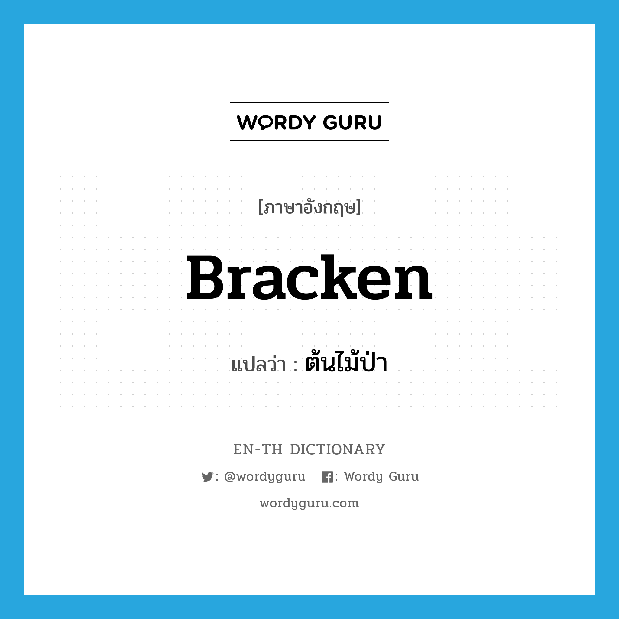 ต้นไม้ป่า ภาษาอังกฤษ?, คำศัพท์ภาษาอังกฤษ ต้นไม้ป่า แปลว่า bracken ประเภท N หมวด N