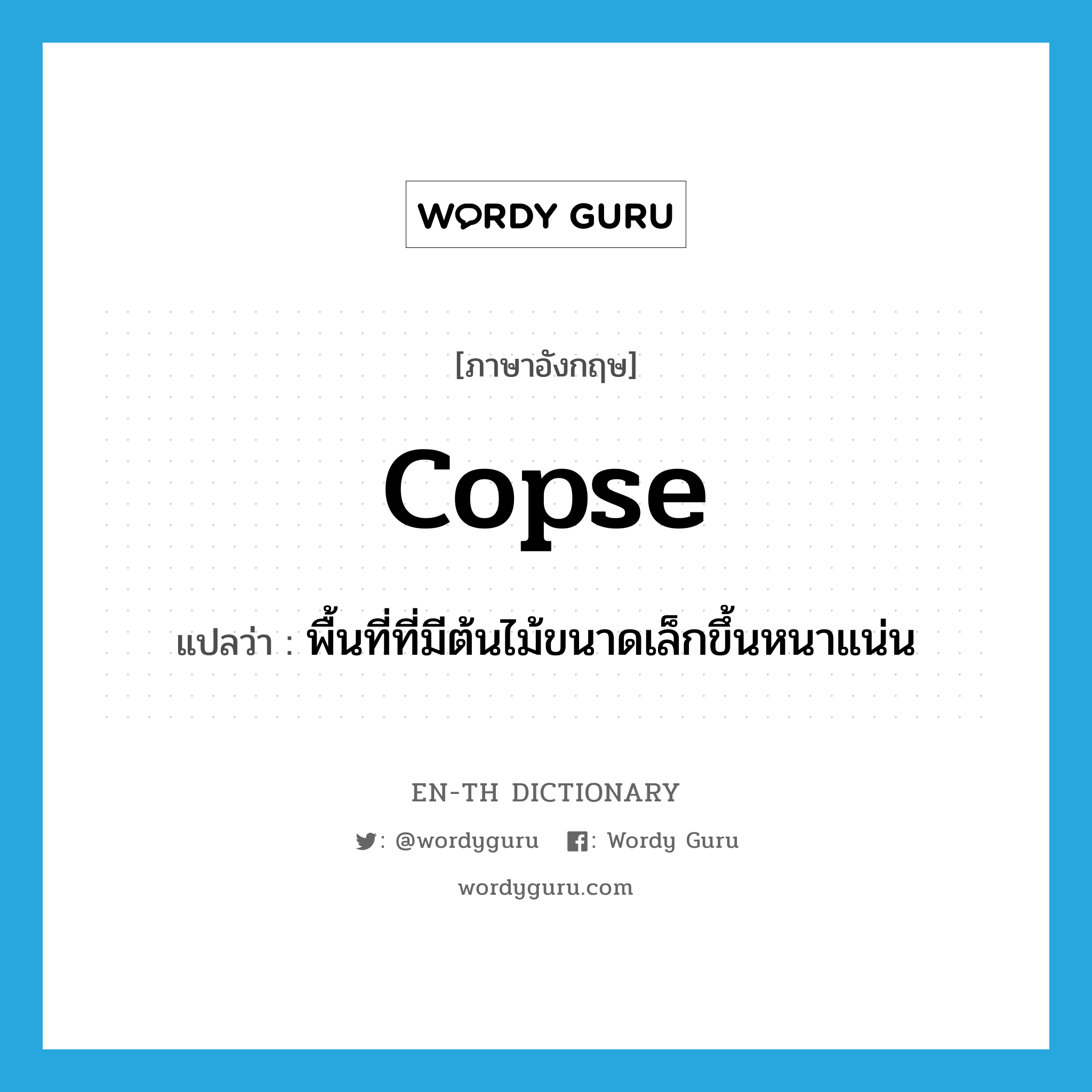 copse แปลว่า?, คำศัพท์ภาษาอังกฤษ copse แปลว่า พื้นที่ที่มีต้นไม้ขนาดเล็กขึ้นหนาแน่น ประเภท N หมวด N