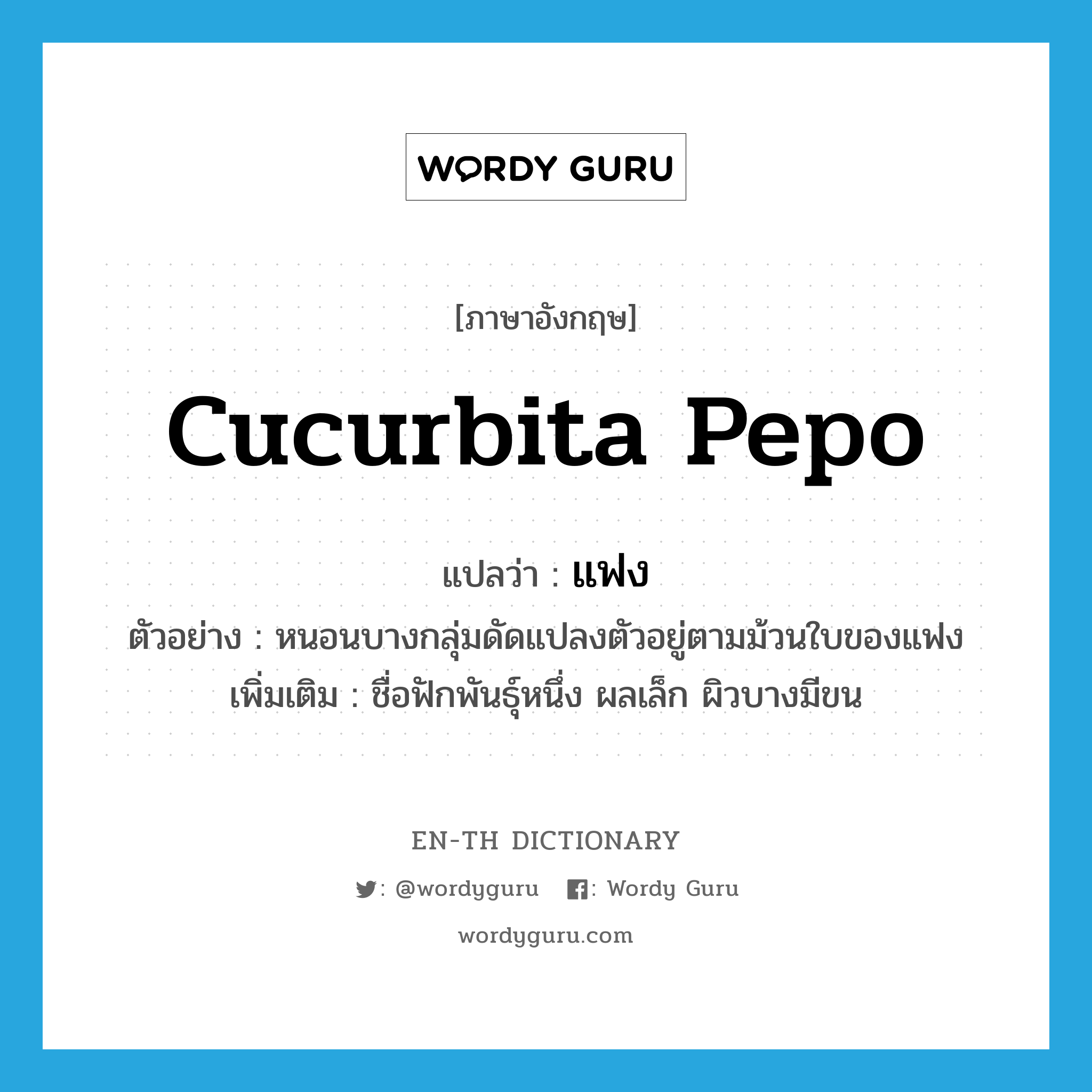 cucurbita pepo แปลว่า?, คำศัพท์ภาษาอังกฤษ cucurbita pepo แปลว่า แฟง ประเภท N ตัวอย่าง หนอนบางกลุ่มดัดแปลงตัวอยู่ตามม้วนใบของแฟง เพิ่มเติม ชื่อฟักพันธุ์หนึ่ง ผลเล็ก ผิวบางมีขน หมวด N