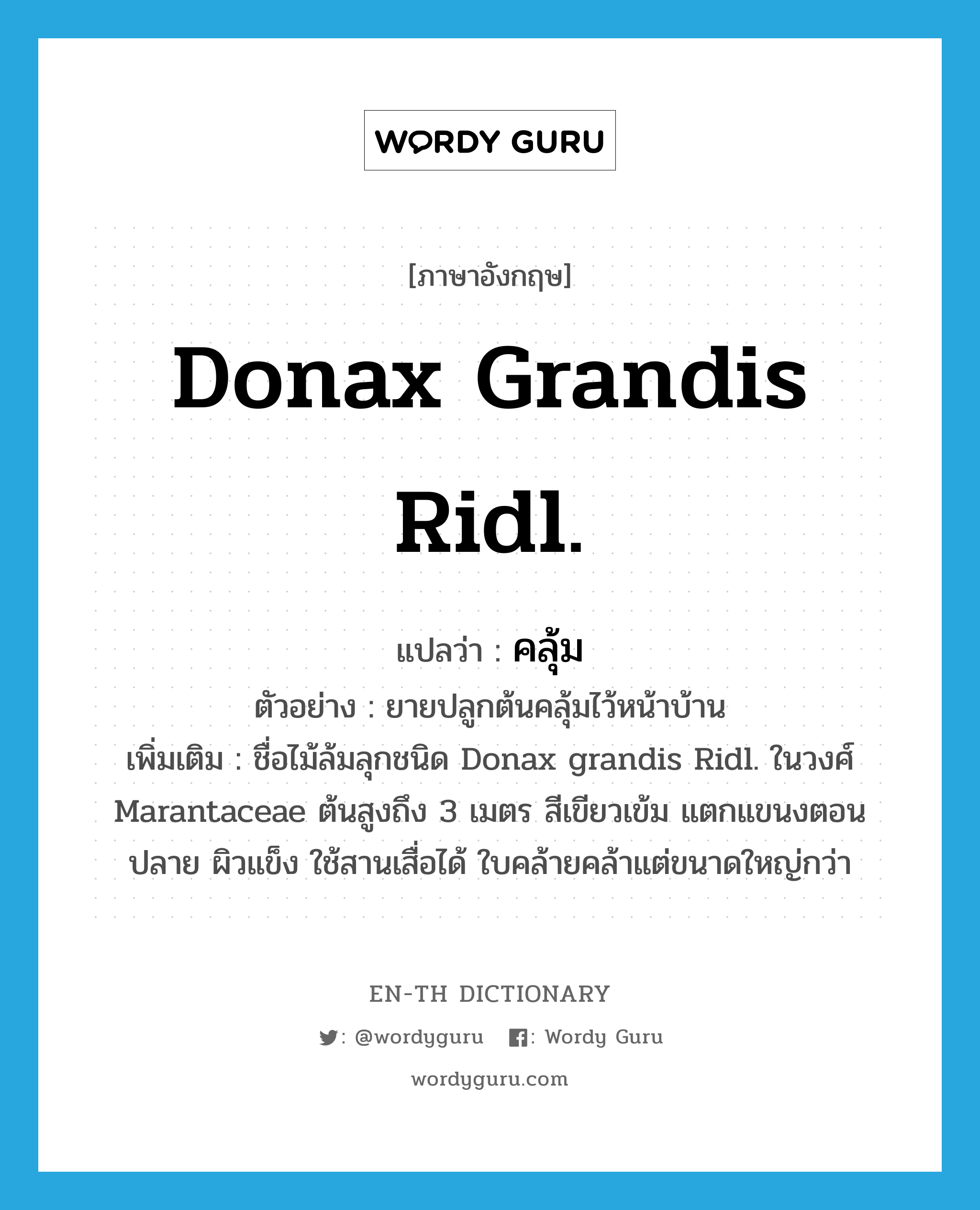 Donax grandis Ridl. แปลว่า?, คำศัพท์ภาษาอังกฤษ Donax grandis Ridl. แปลว่า คลุ้ม ประเภท N ตัวอย่าง ยายปลูกต้นคลุ้มไว้หน้าบ้าน เพิ่มเติม ชื่อไม้ล้มลุกชนิด Donax grandis Ridl. ในวงศ์ Marantaceae ต้นสูงถึง 3 เมตร สีเขียวเข้ม แตกแขนงตอนปลาย ผิวแข็ง ใช้สานเสื่อได้ ใบคล้ายคล้าแต่ขนาดใหญ่กว่า หมวด N