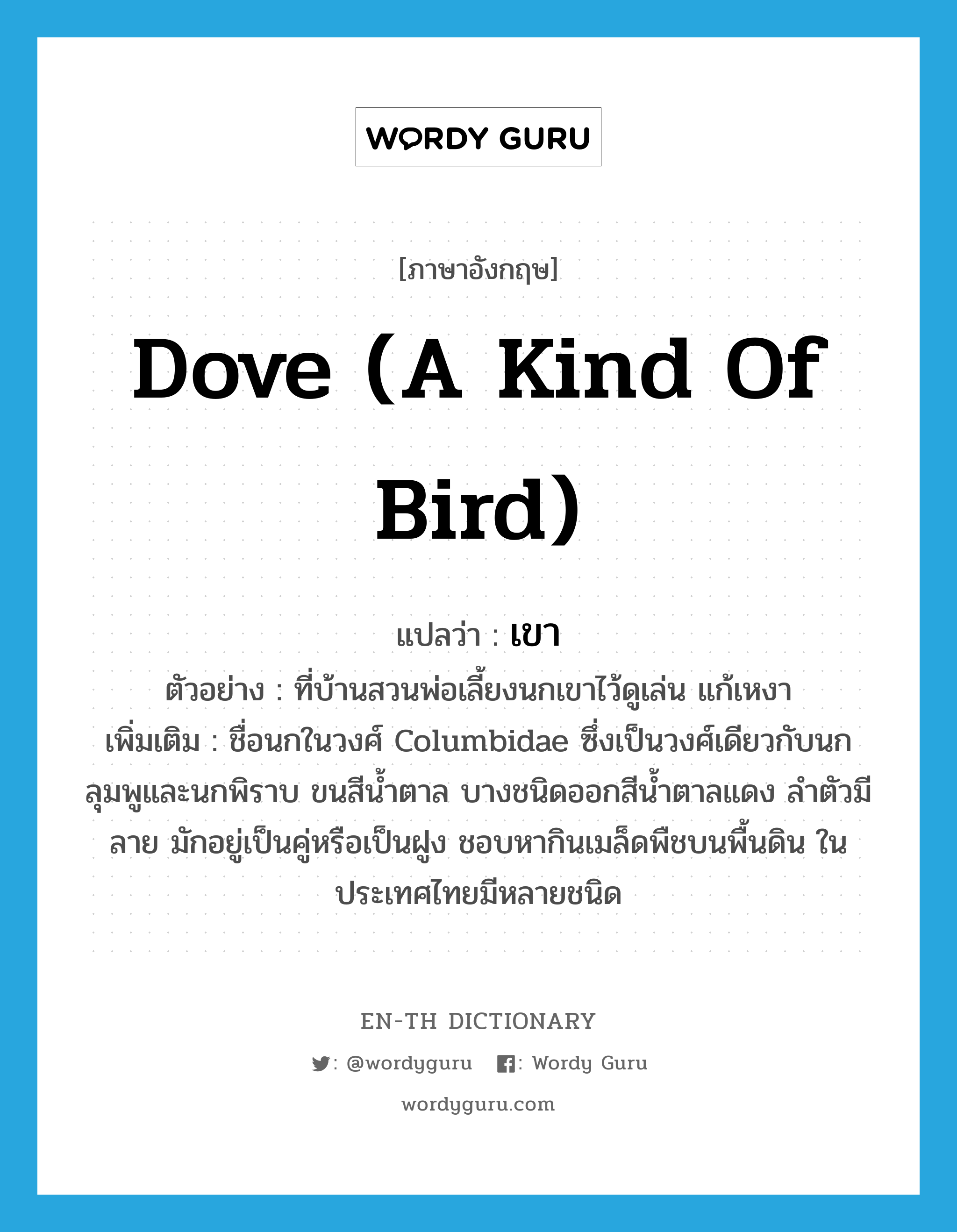 เขา ภาษาอังกฤษ?, คำศัพท์ภาษาอังกฤษ เขา แปลว่า dove (a kind of bird) ประเภท N ตัวอย่าง ที่บ้านสวนพ่อเลี้ยงนกเขาไว้ดูเล่น แก้เหงา เพิ่มเติม ชื่อนกในวงศ์ Columbidae ซึ่งเป็นวงศ์เดียวกับนกลุมพูและนกพิราบ ขนสีน้ำตาล บางชนิดออกสีน้ำตาลแดง ลำตัวมีลาย มักอยู่เป็นคู่หรือเป็นฝูง ชอบหากินเมล็ดพืชบนพื้นดิน ในประเทศไทยมีหลายชนิด หมวด N