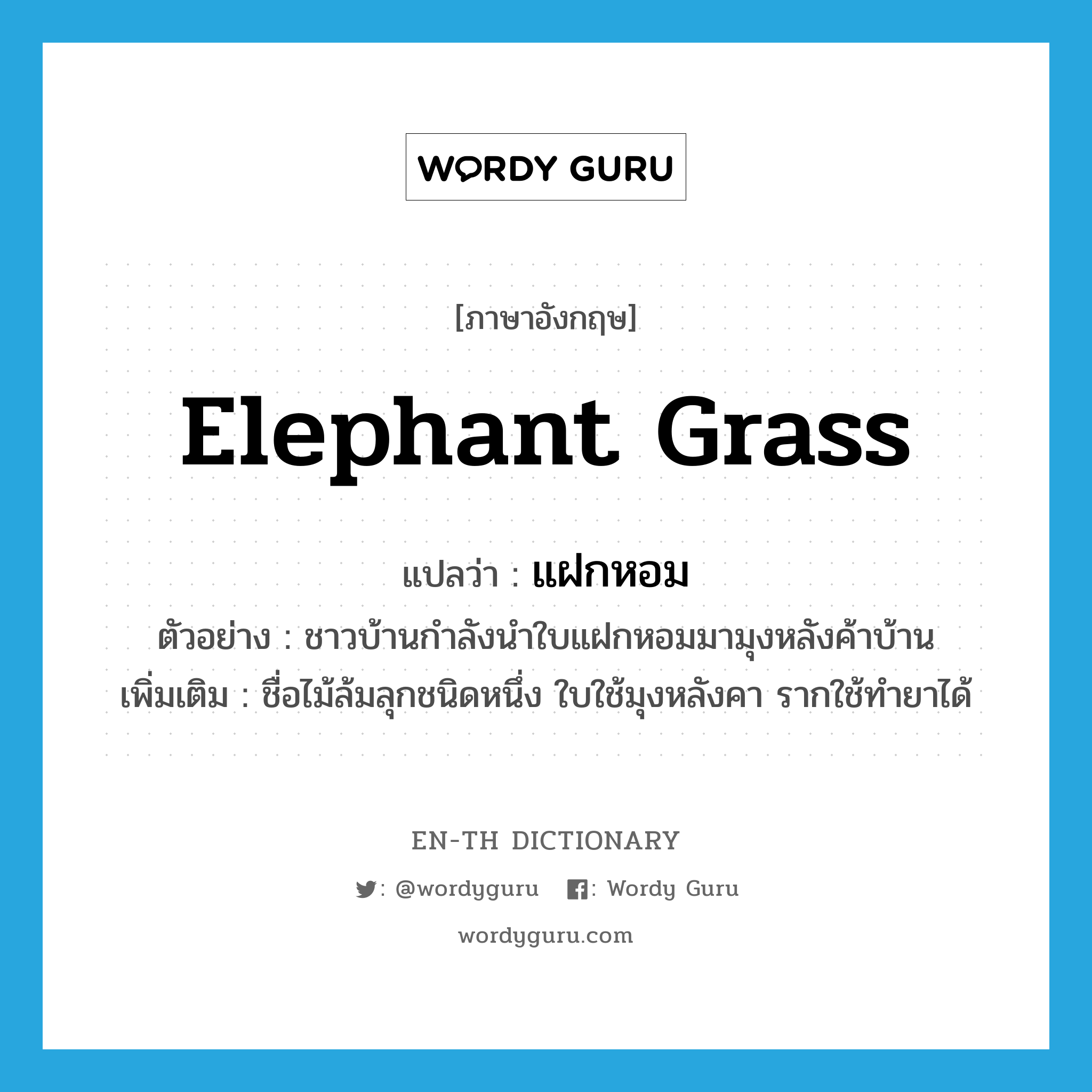 elephant grass แปลว่า?, คำศัพท์ภาษาอังกฤษ elephant grass แปลว่า แฝกหอม ประเภท N ตัวอย่าง ชาวบ้านกำลังนำใบแฝกหอมมามุงหลังค้าบ้าน เพิ่มเติม ชื่อไม้ล้มลุกชนิดหนึ่ง ใบใช้มุงหลังคา รากใช้ทำยาได้ หมวด N