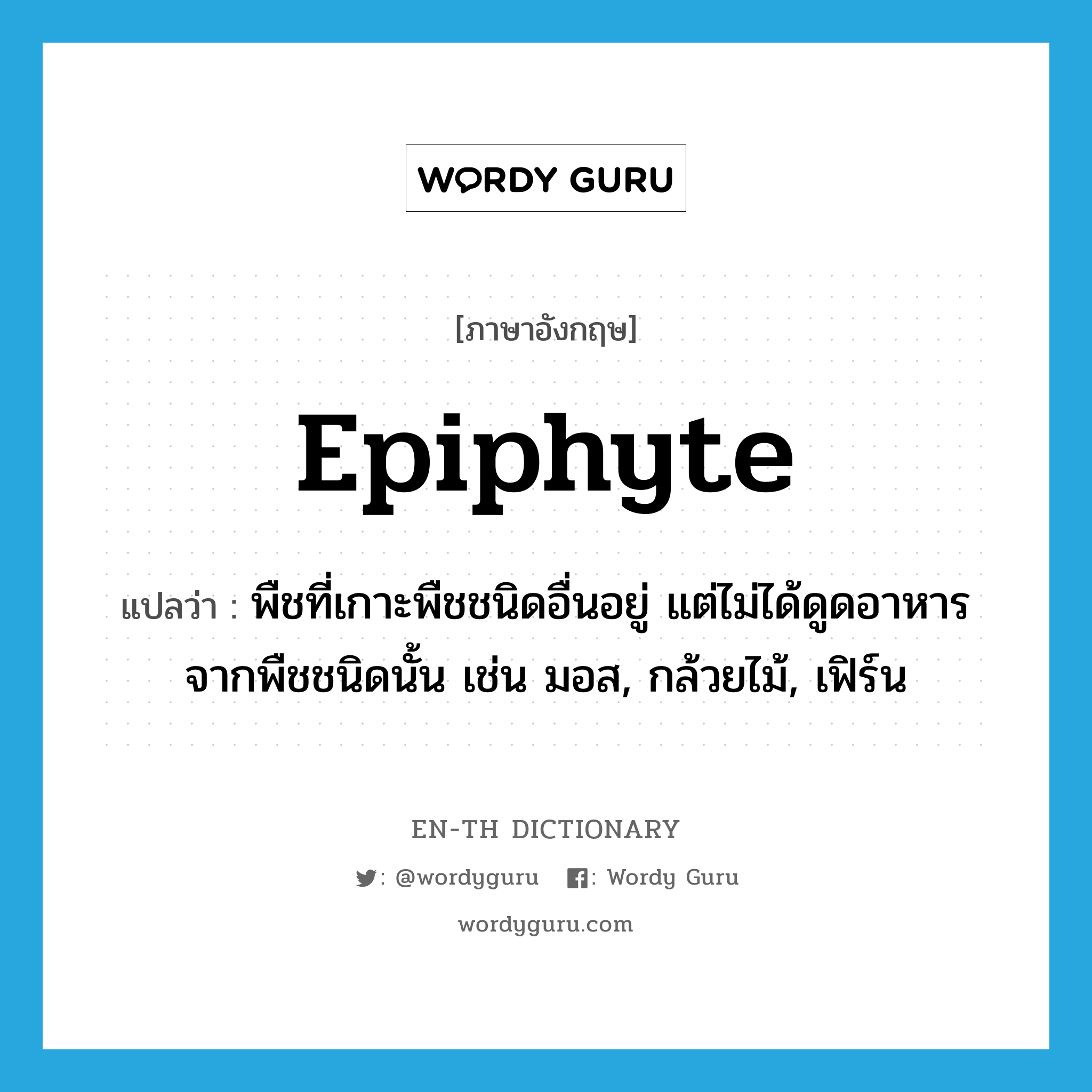 epiphyte แปลว่า?, คำศัพท์ภาษาอังกฤษ epiphyte แปลว่า พืชที่เกาะพืชชนิดอื่นอยู่ แต่ไม่ได้ดูดอาหารจากพืชชนิดนั้น เช่น มอส, กล้วยไม้, เฟิร์น ประเภท N หมวด N