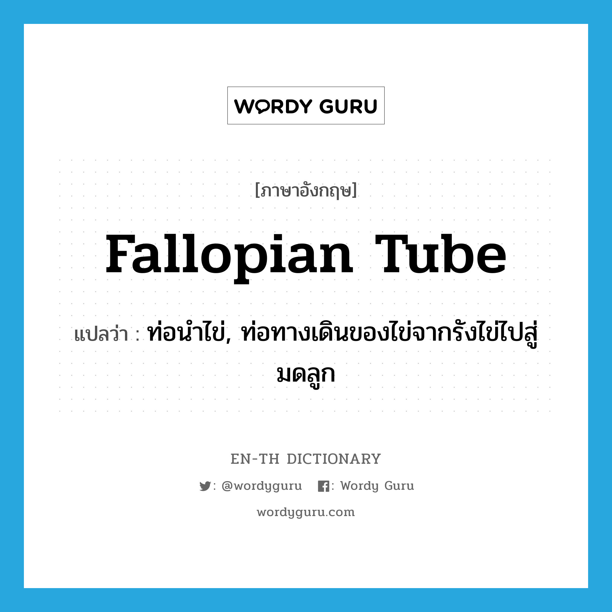 fallopian tube แปลว่า?, คำศัพท์ภาษาอังกฤษ fallopian tube แปลว่า ท่อนำไข่, ท่อทางเดินของไข่จากรังไข่ไปสู่มดลูก ประเภท N หมวด N