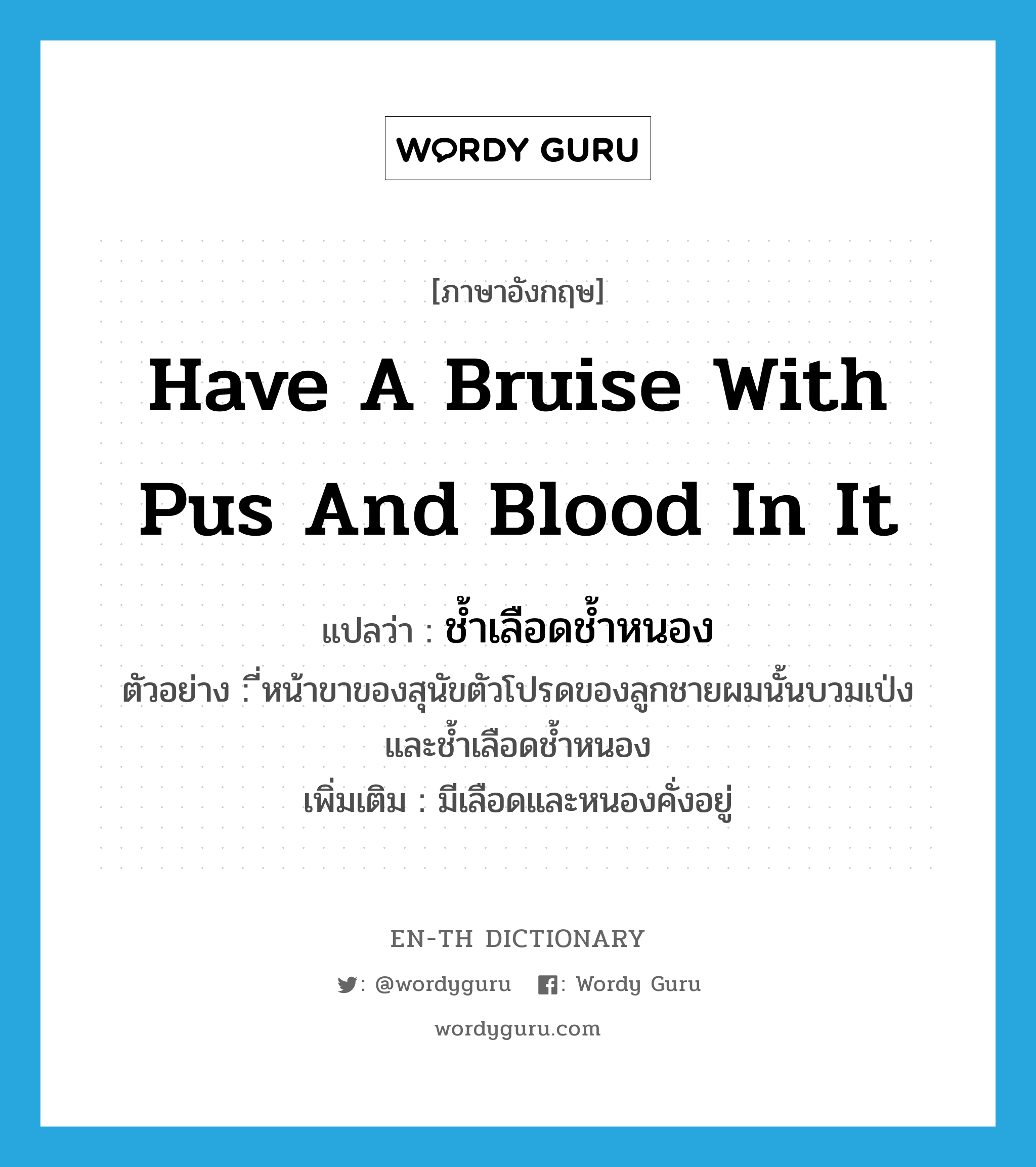 have a bruise with pus and blood in it แปลว่า?, คำศัพท์ภาษาอังกฤษ have a bruise with pus and blood in it แปลว่า ช้ำเลือดช้ำหนอง ประเภท V ตัวอย่าง ี่หน้าขาของสุนัขตัวโปรดของลูกชายผมนั้นบวมเป่ง และช้ำเลือดช้ำหนอง เพิ่มเติม มีเลือดและหนองคั่งอยู่ หมวด V