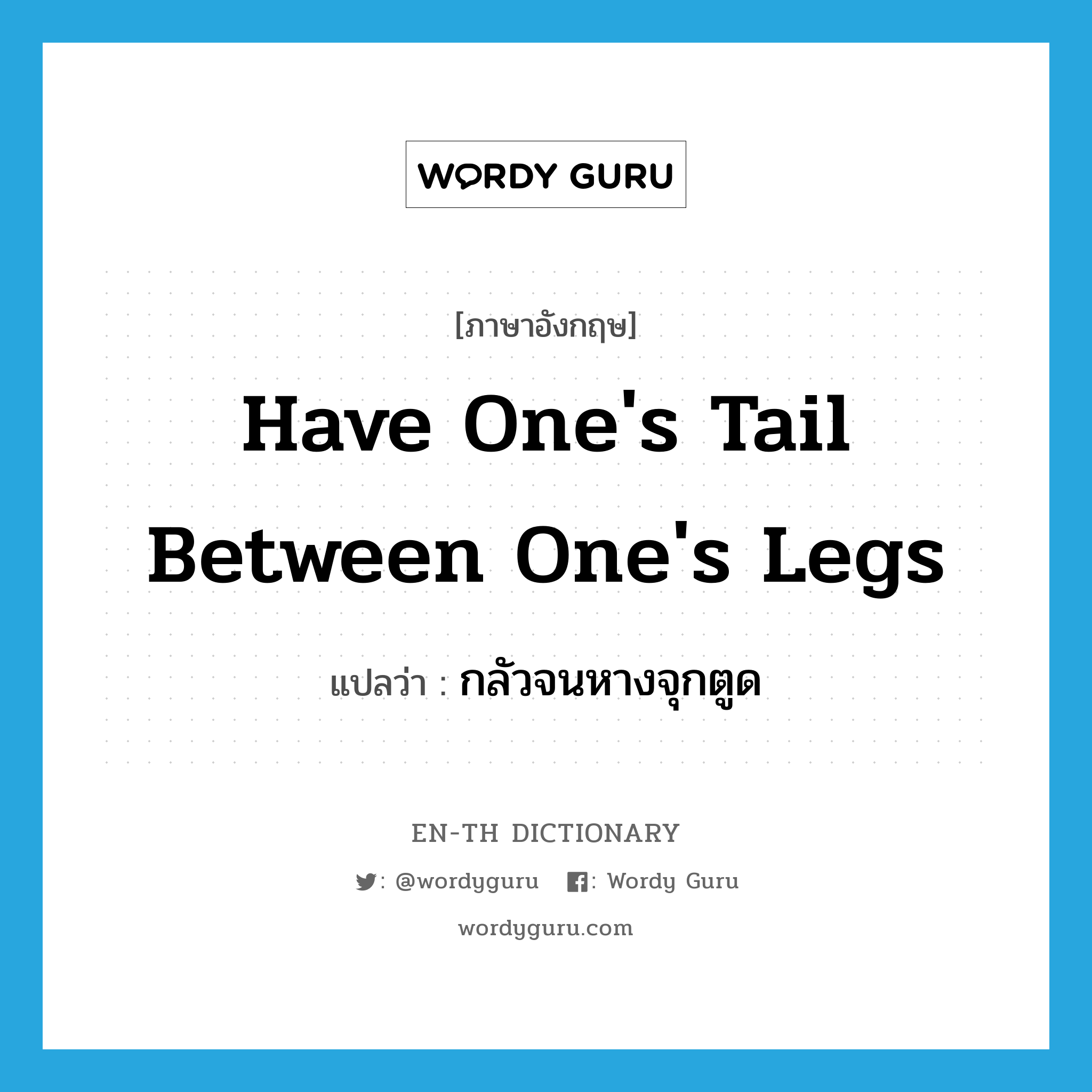 have one&#39;s tail between one&#39;s legs แปลว่า?, คำศัพท์ภาษาอังกฤษ have one&#39;s tail between one&#39;s legs แปลว่า กลัวจนหางจุกตูด ประเภท IDM หมวด IDM