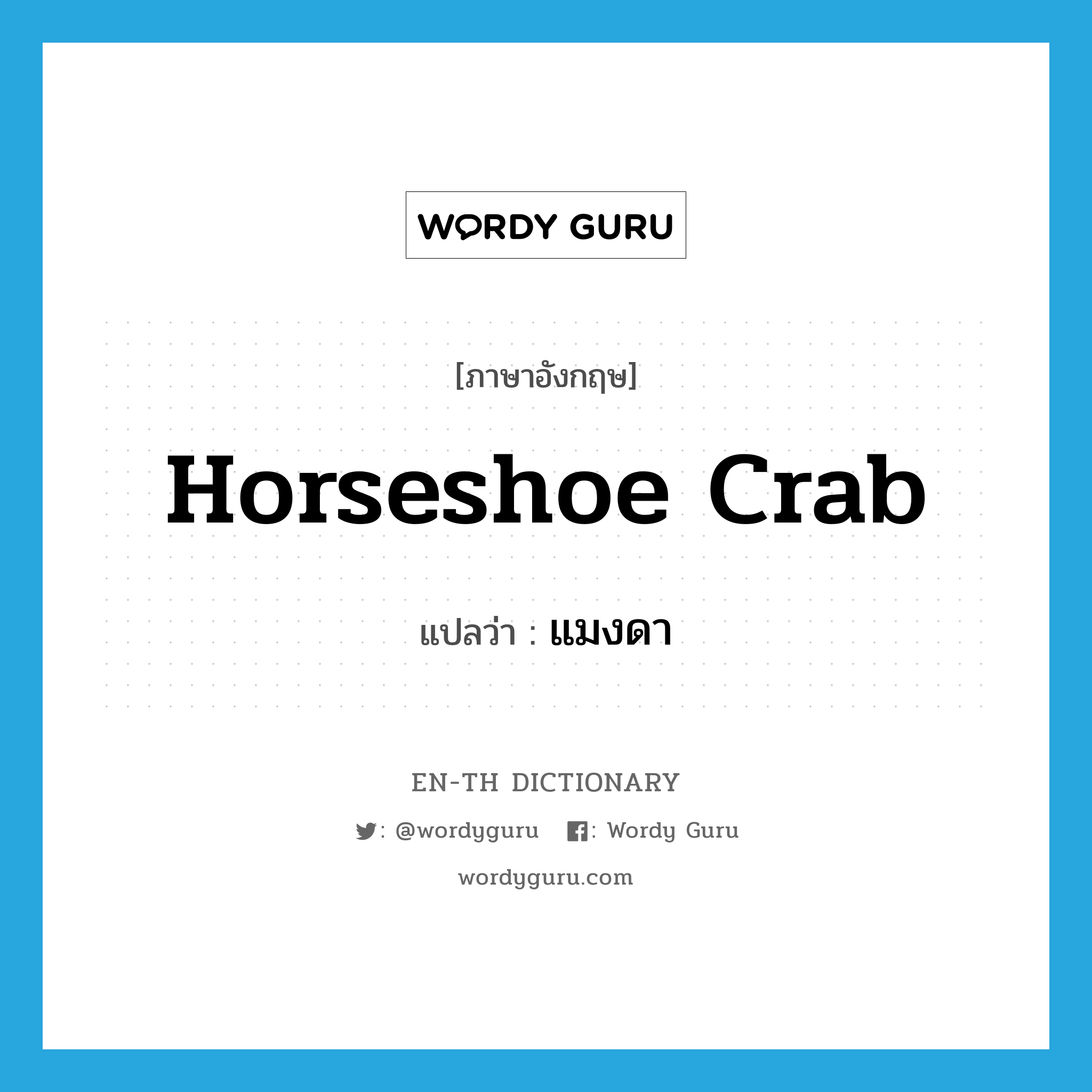 horseshoe crab แปลว่า?, คำศัพท์ภาษาอังกฤษ horseshoe crab แปลว่า แมงดา ประเภท N หมวด N