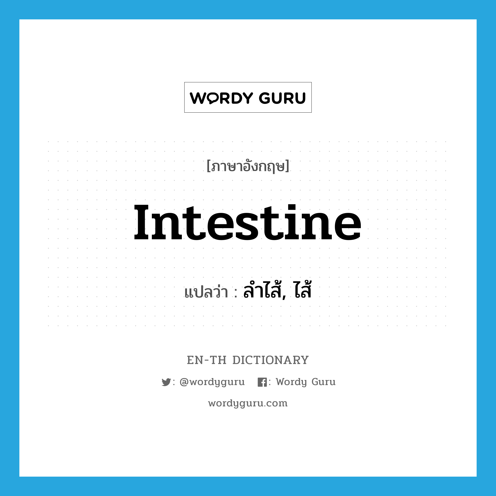 intestine แปลว่า?, คำศัพท์ภาษาอังกฤษ intestine แปลว่า ลำไส้, ไส้ ประเภท N หมวด N