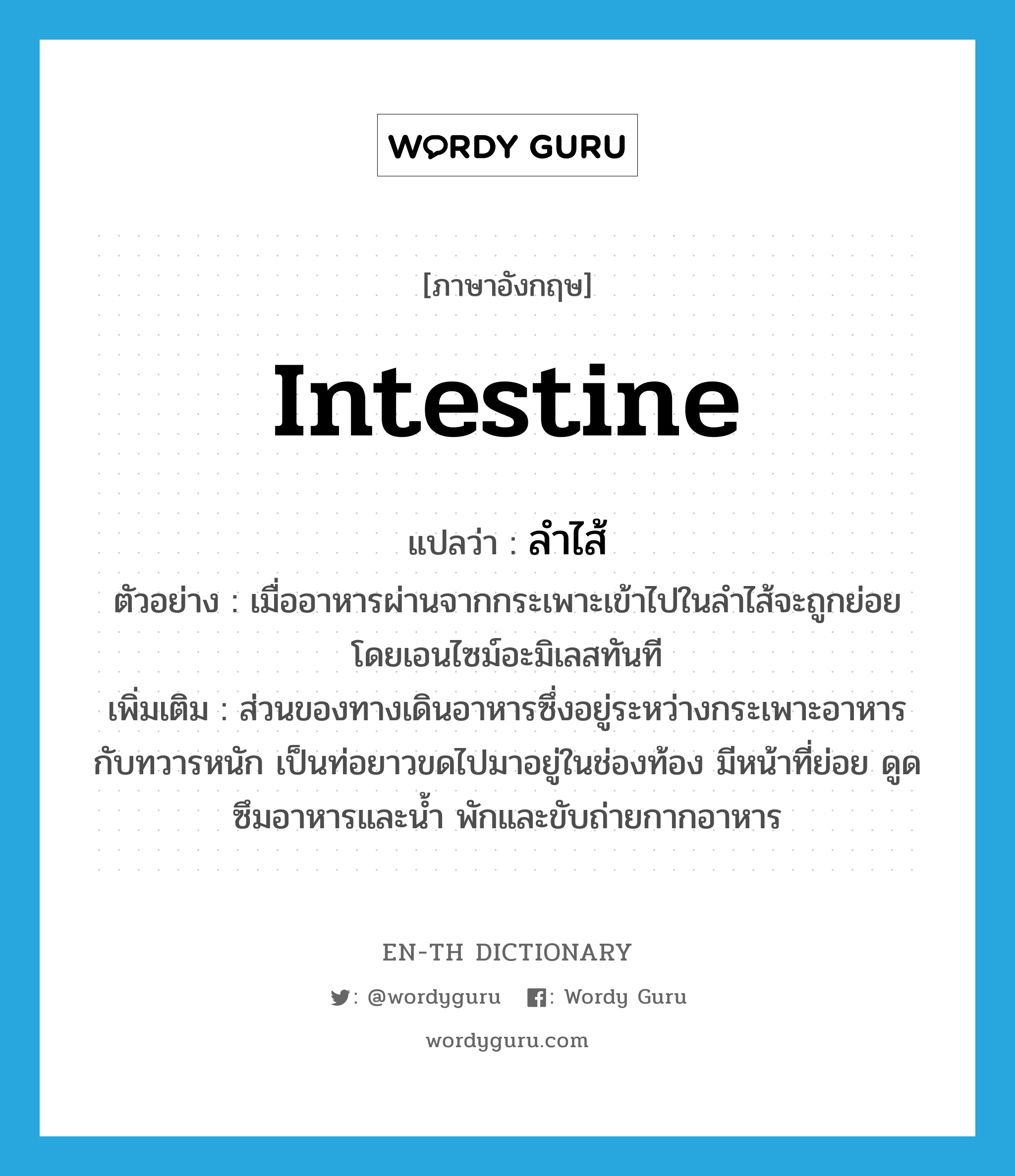 intestine แปลว่า?, คำศัพท์ภาษาอังกฤษ intestine แปลว่า ลำไส้ ประเภท N ตัวอย่าง เมื่ออาหารผ่านจากกระเพาะเข้าไปในลำไส้จะถูกย่อยโดยเอนไซม์อะมิเลสทันที เพิ่มเติม ส่วนของทางเดินอาหารซึ่งอยู่ระหว่างกระเพาะอาหารกับทวารหนัก เป็นท่อยาวขดไปมาอยู่ในช่องท้อง มีหน้าที่ย่อย ดูดซึมอาหารและน้ำ พักและขับถ่ายกากอาหาร หมวด N