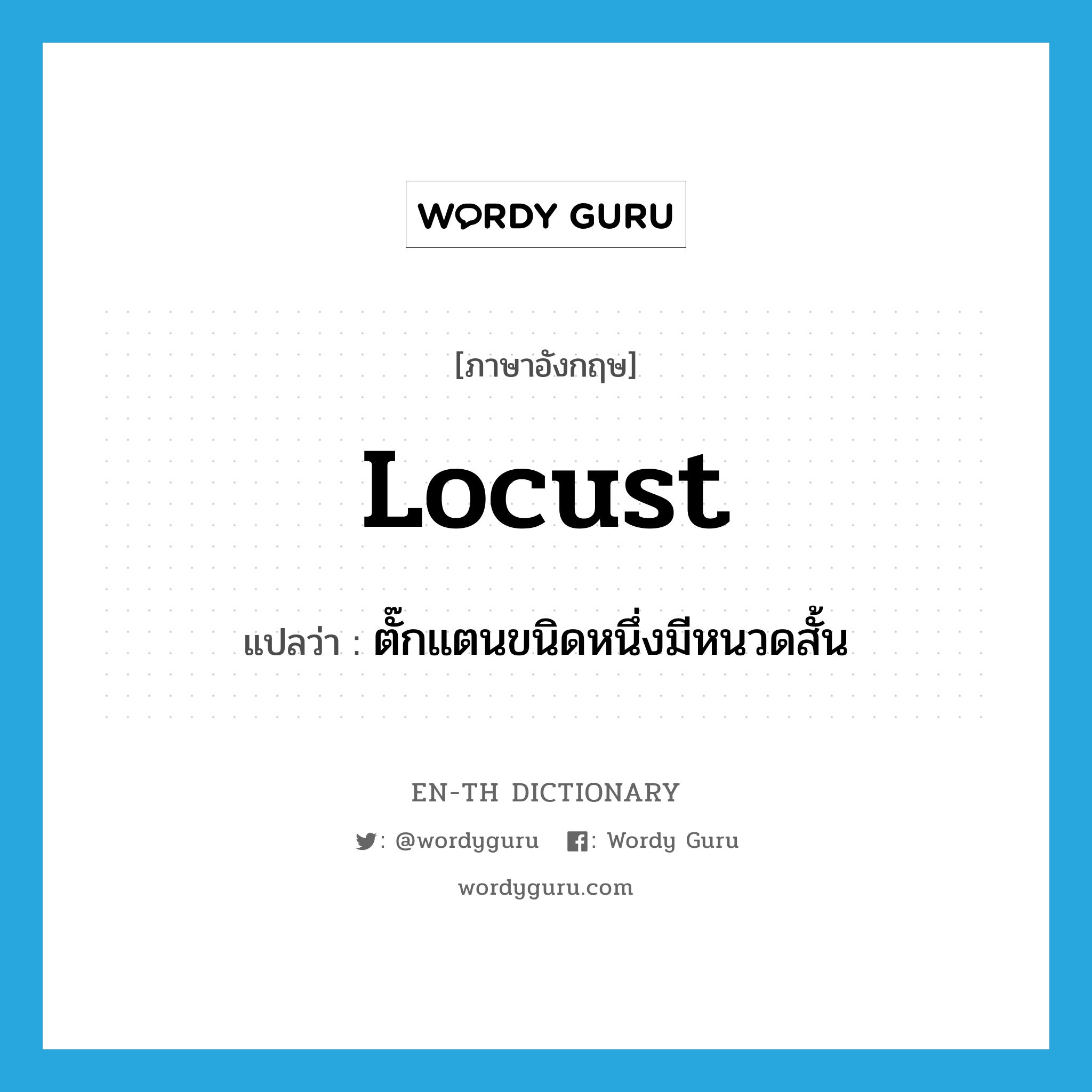 locust แปลว่า?, คำศัพท์ภาษาอังกฤษ locust แปลว่า ตั๊กแตนขนิดหนึ่งมีหนวดสั้น ประเภท N หมวด N