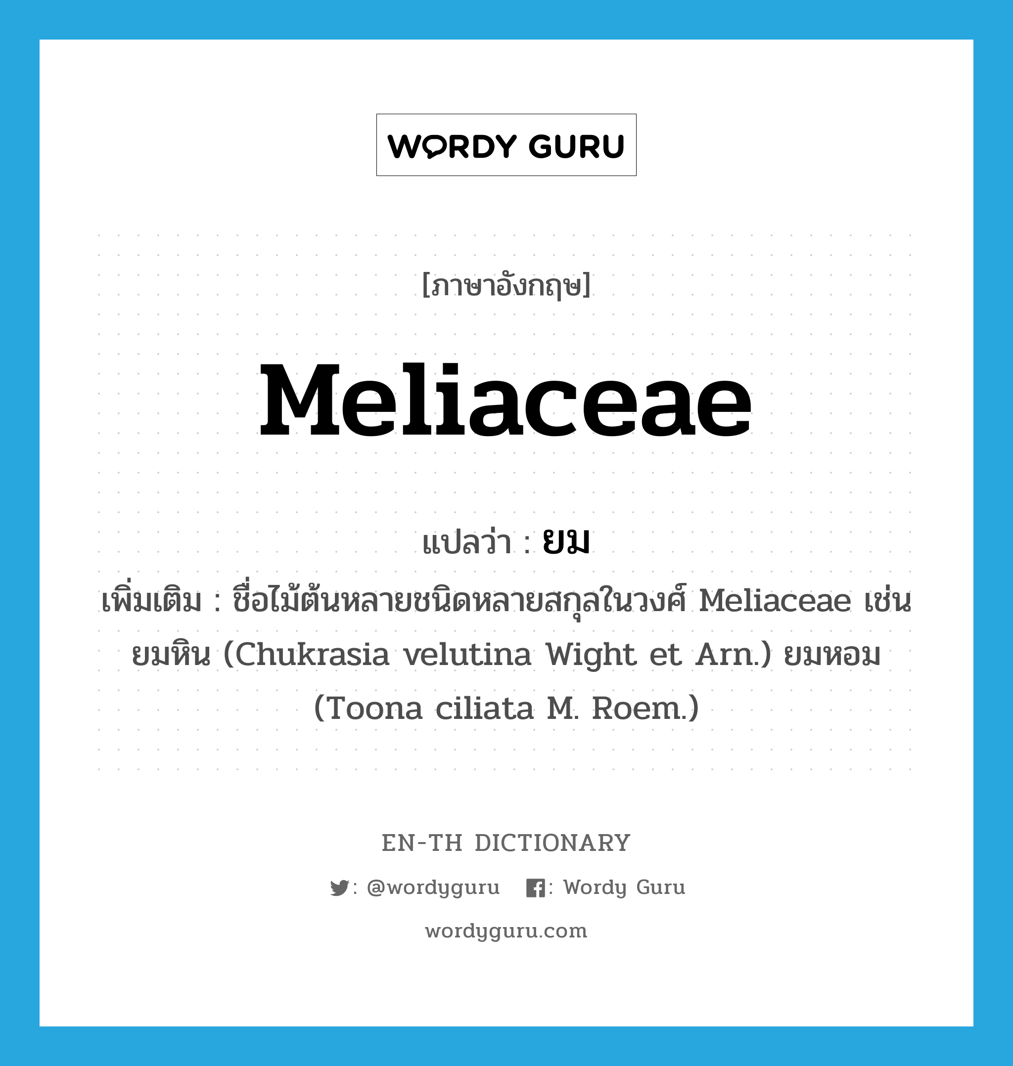 Meliaceae แปลว่า?, คำศัพท์ภาษาอังกฤษ Meliaceae แปลว่า ยม ประเภท N เพิ่มเติม ชื่อไม้ต้นหลายชนิดหลายสกุลในวงศ์ Meliaceae เช่น ยมหิน (Chukrasia velutina Wight et Arn.) ยมหอม (Toona ciliata M. Roem.) หมวด N