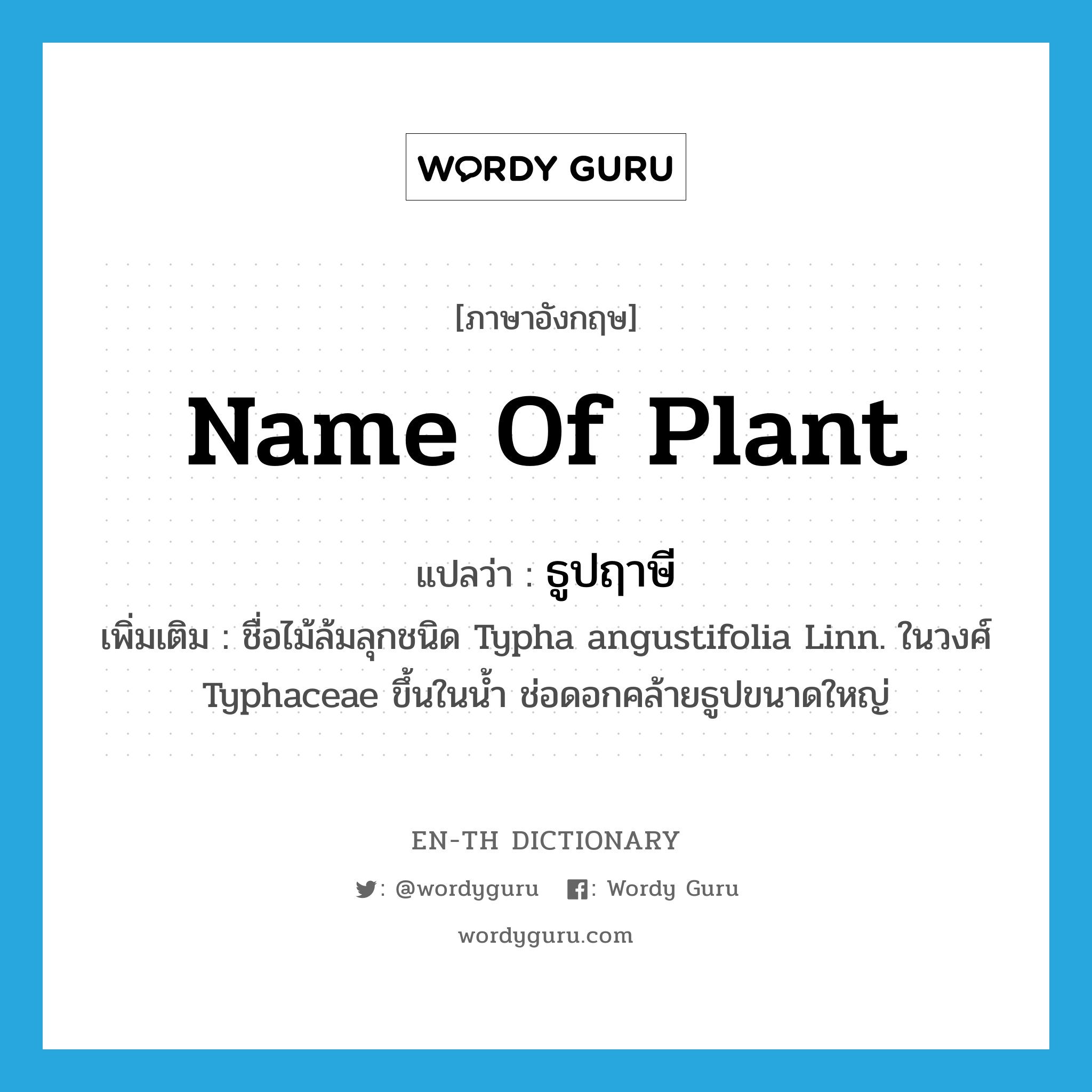 name of plant แปลว่า?, คำศัพท์ภาษาอังกฤษ name of plant แปลว่า ธูปฤาษี ประเภท N เพิ่มเติม ชื่อไม้ล้มลุกชนิด Typha angustifolia Linn. ในวงศ์ Typhaceae ขึ้นในน้ำ ช่อดอกคล้ายธูปขนาดใหญ่ หมวด N