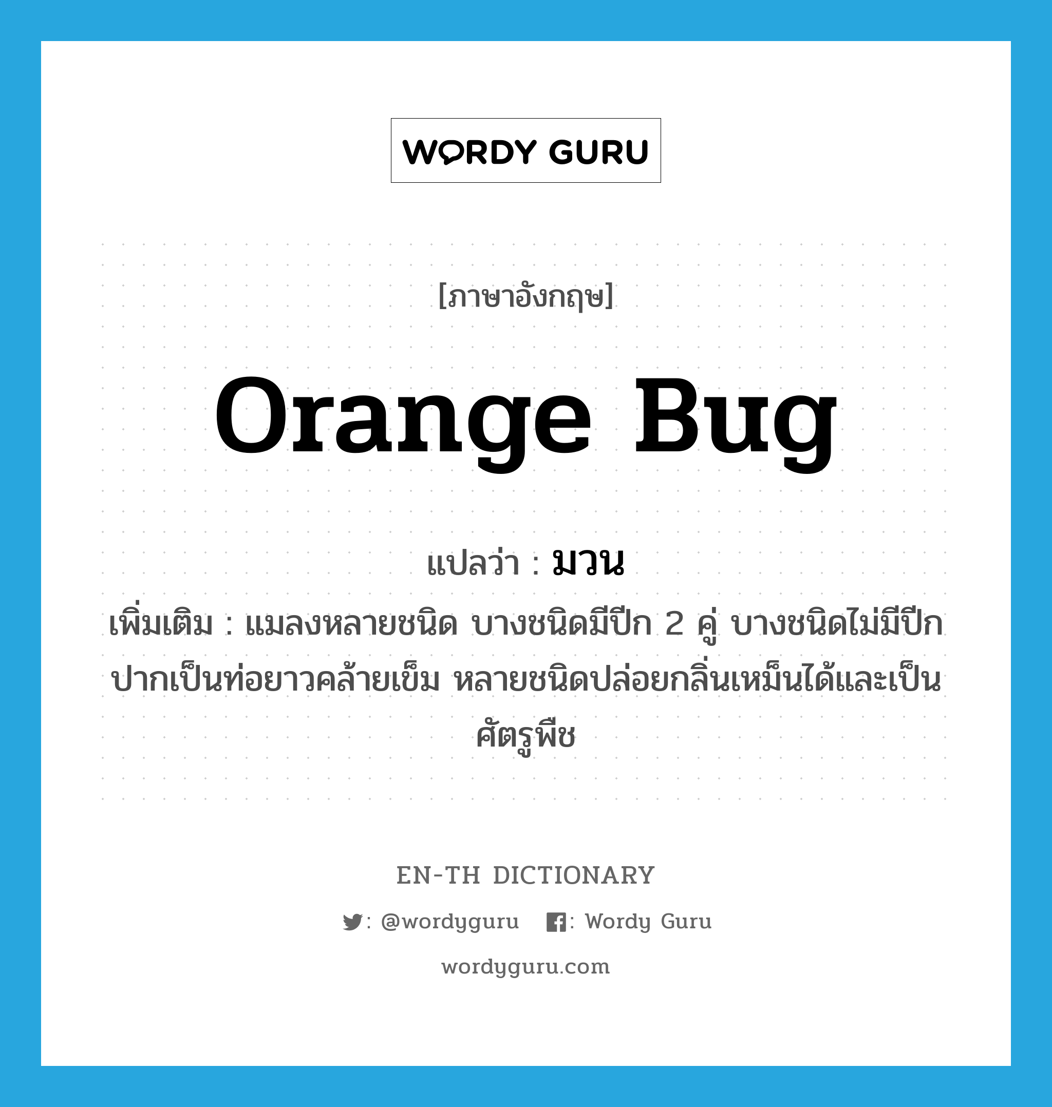 orange bug แปลว่า?, คำศัพท์ภาษาอังกฤษ orange bug แปลว่า มวน ประเภท N เพิ่มเติม แมลงหลายชนิด บางชนิดมีปีก 2 คู่ บางชนิดไม่มีปีก ปากเป็นท่อยาวคล้ายเข็ม หลายชนิดปล่อยกลิ่นเหม็นได้และเป็นศัตรูพืช หมวด N