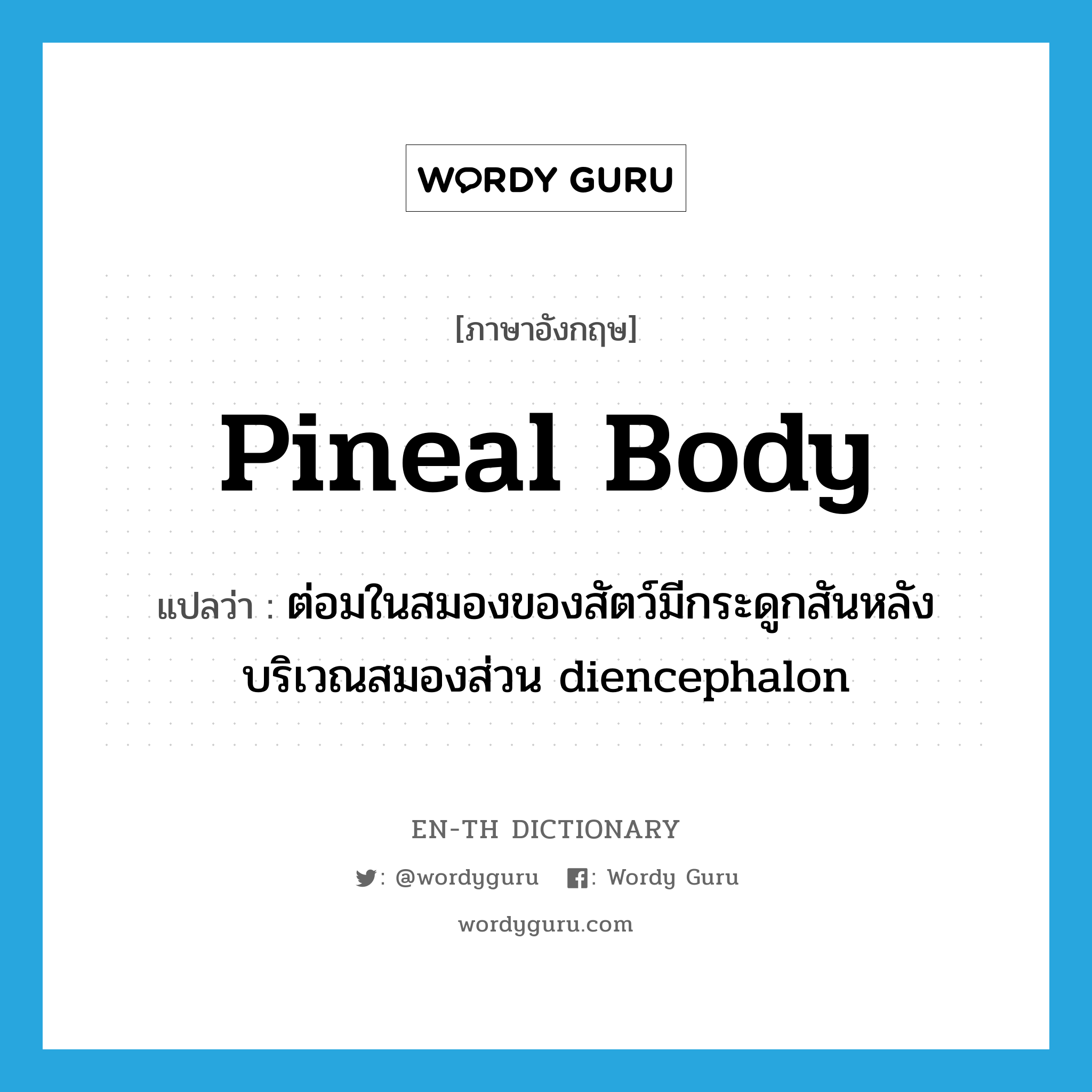 pineal body แปลว่า?, คำศัพท์ภาษาอังกฤษ pineal body แปลว่า ต่อมในสมองของสัตว์มีกระดูกสันหลังบริเวณสมองส่วน diencephalon ประเภท N หมวด N