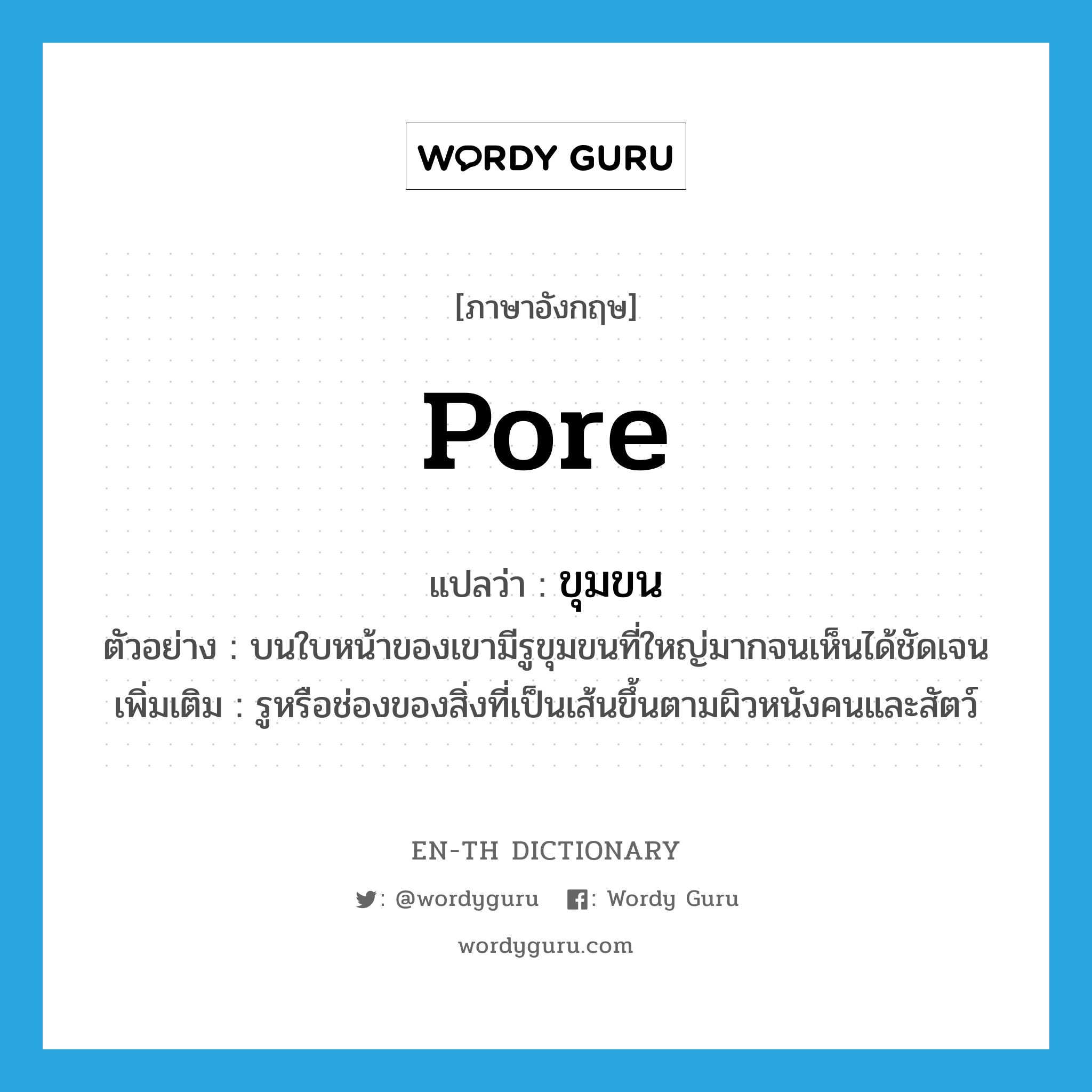 pore แปลว่า?, คำศัพท์ภาษาอังกฤษ pore แปลว่า ขุมขน ประเภท N ตัวอย่าง บนใบหน้าของเขามีรูขุมขนที่ใหญ่มากจนเห็นได้ชัดเจน เพิ่มเติม รูหรือช่องของสิ่งที่เป็นเส้นขึ้นตามผิวหนังคนและสัตว์ หมวด N