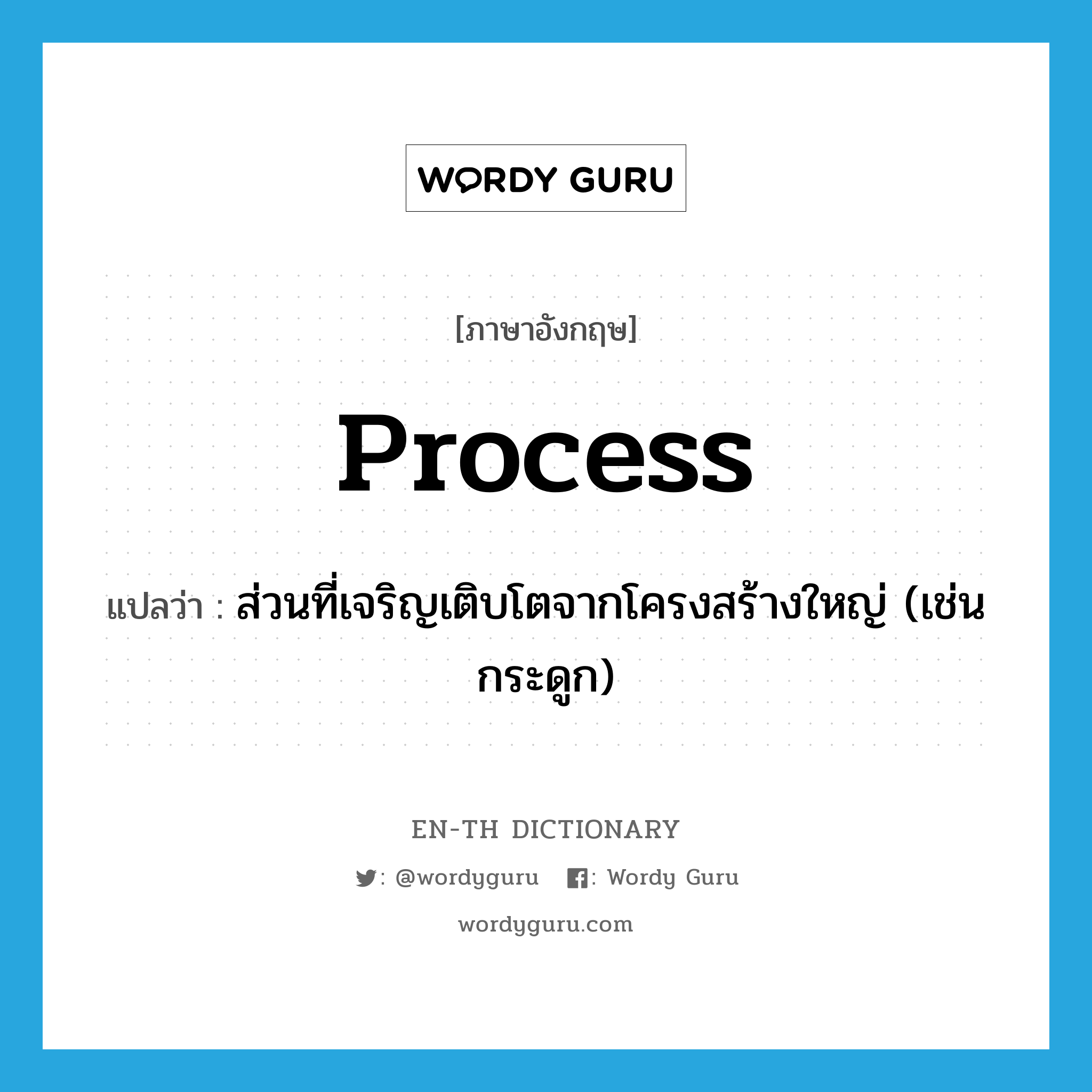 process แปลว่า?, คำศัพท์ภาษาอังกฤษ process แปลว่า ส่วนที่เจริญเติบโตจากโครงสร้างใหญ่ (เช่น กระดูก) ประเภท N หมวด N