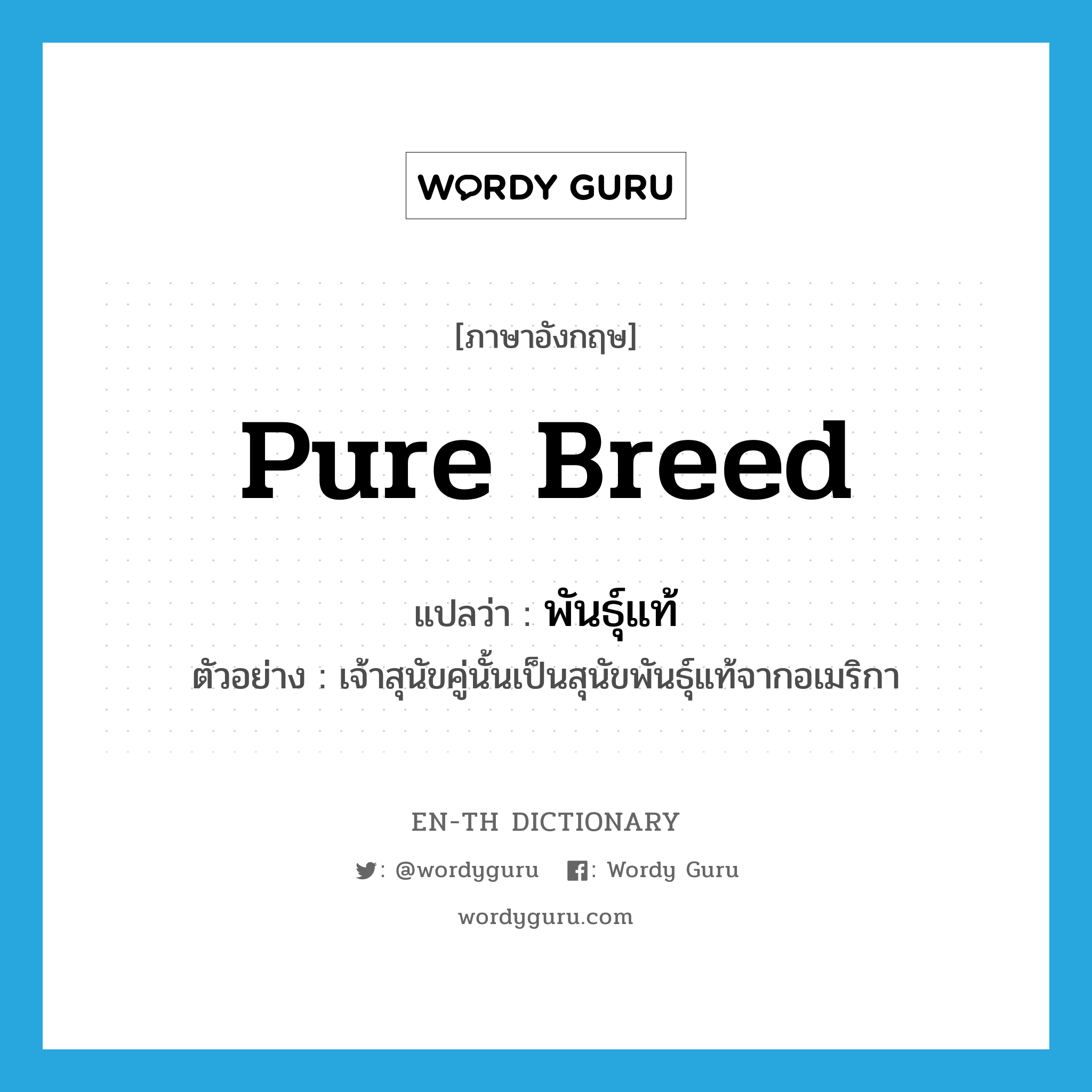 pure breed แปลว่า?, คำศัพท์ภาษาอังกฤษ pure breed แปลว่า พันธุ์แท้ ประเภท ADJ ตัวอย่าง เจ้าสุนัขคู่นั้นเป็นสุนัขพันธุ์แท้จากอเมริกา หมวด ADJ