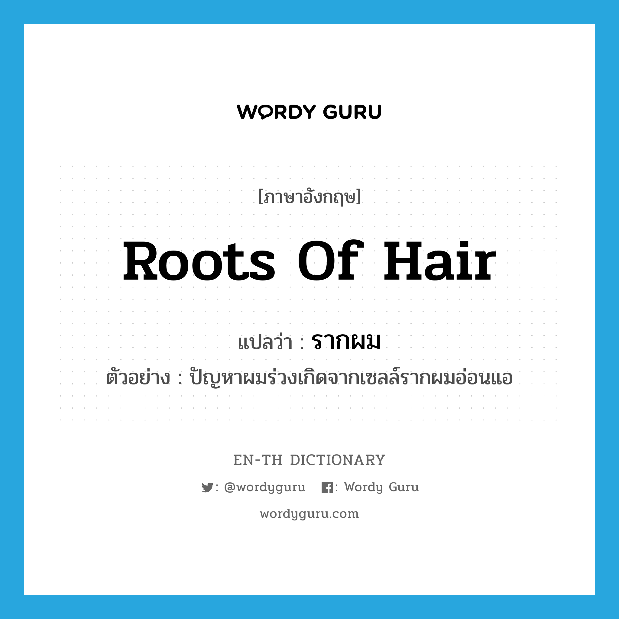 roots of hair แปลว่า?, คำศัพท์ภาษาอังกฤษ roots of hair แปลว่า รากผม ประเภท N ตัวอย่าง ปัญหาผมร่วงเกิดจากเซลล์รากผมอ่อนแอ หมวด N