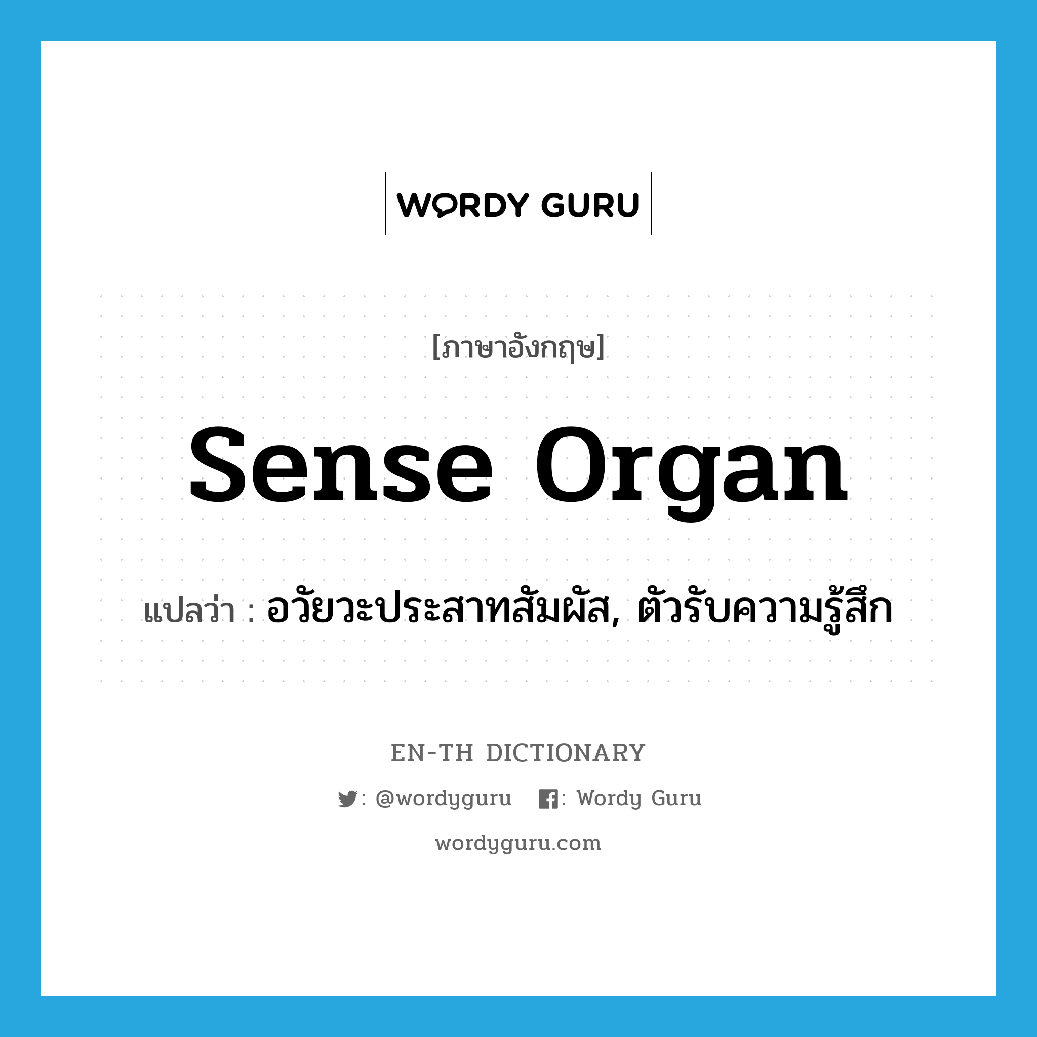 sense organ แปลว่า?, คำศัพท์ภาษาอังกฤษ sense organ แปลว่า อวัยวะประสาทสัมผัส, ตัวรับความรู้สึก ประเภท N หมวด N