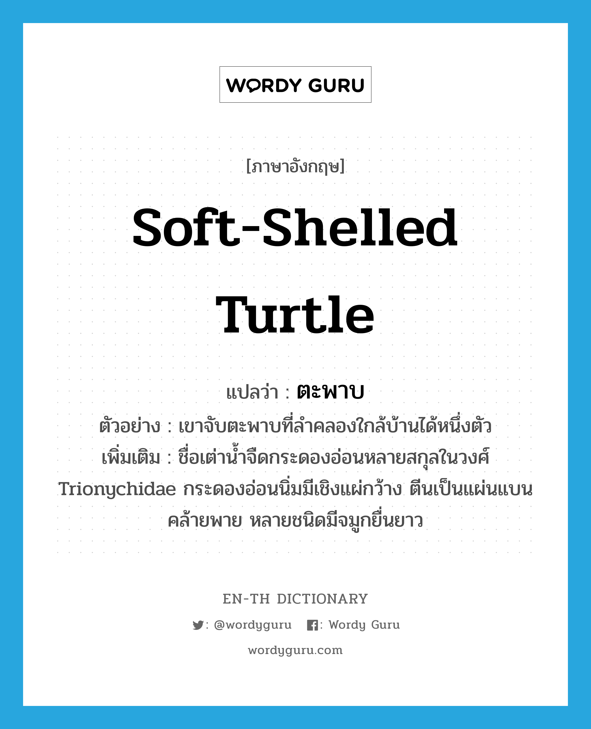 soft-shelled turtle แปลว่า?, คำศัพท์ภาษาอังกฤษ soft-shelled turtle แปลว่า ตะพาบ ประเภท N ตัวอย่าง เขาจับตะพาบที่ลำคลองใกล้บ้านได้หนึ่งตัว เพิ่มเติม ชื่อเต่าน้ำจืดกระดองอ่อนหลายสกุลในวงศ์ Trionychidae กระดองอ่อนนิ่มมีเชิงแผ่กว้าง ตีนเป็นแผ่นแบนคล้ายพาย หลายชนิดมีจมูกยื่นยาว หมวด N