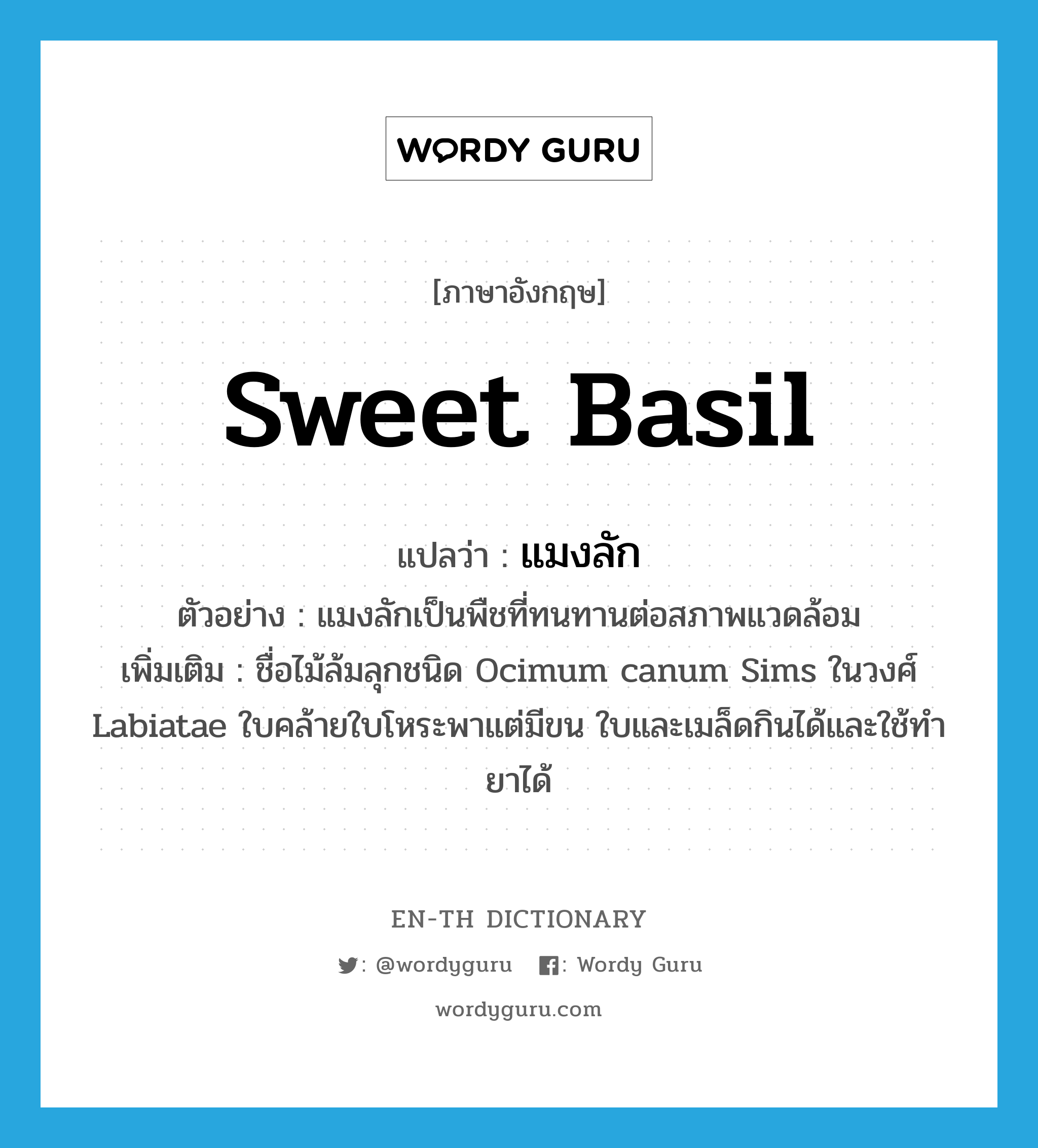 sweet basil แปลว่า?, คำศัพท์ภาษาอังกฤษ sweet basil แปลว่า แมงลัก ประเภท N ตัวอย่าง แมงลักเป็นพืชที่ทนทานต่อสภาพแวดล้อม เพิ่มเติม ชื่อไม้ล้มลุกชนิด Ocimum canum Sims ในวงศ์ Labiatae ใบคล้ายใบโหระพาแต่มีขน ใบและเมล็ดกินได้และใช้ทำยาได้ หมวด N