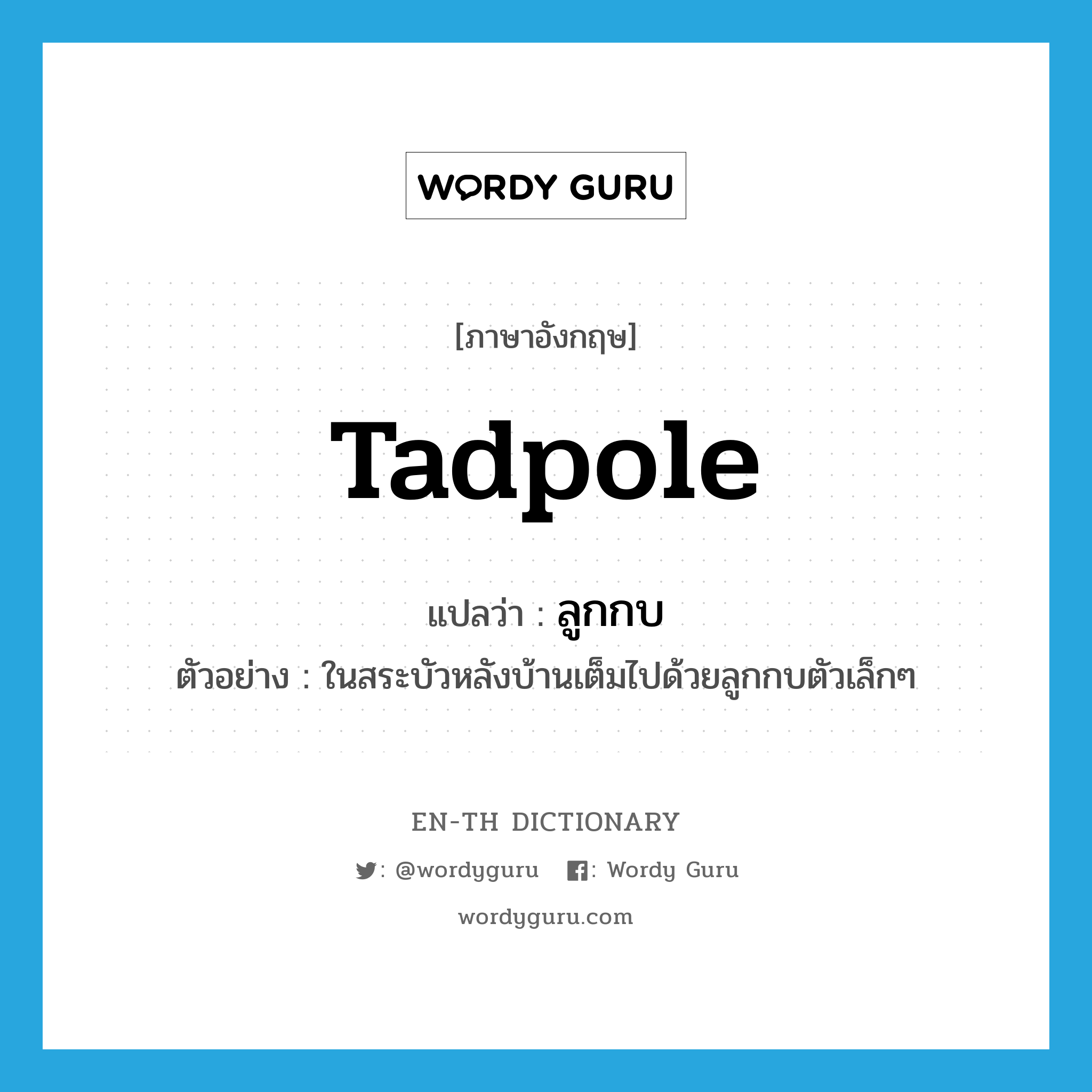 tadpole แปลว่า?, คำศัพท์ภาษาอังกฤษ tadpole แปลว่า ลูกกบ ประเภท N ตัวอย่าง ในสระบัวหลังบ้านเต็มไปด้วยลูกกบตัวเล็กๆ หมวด N