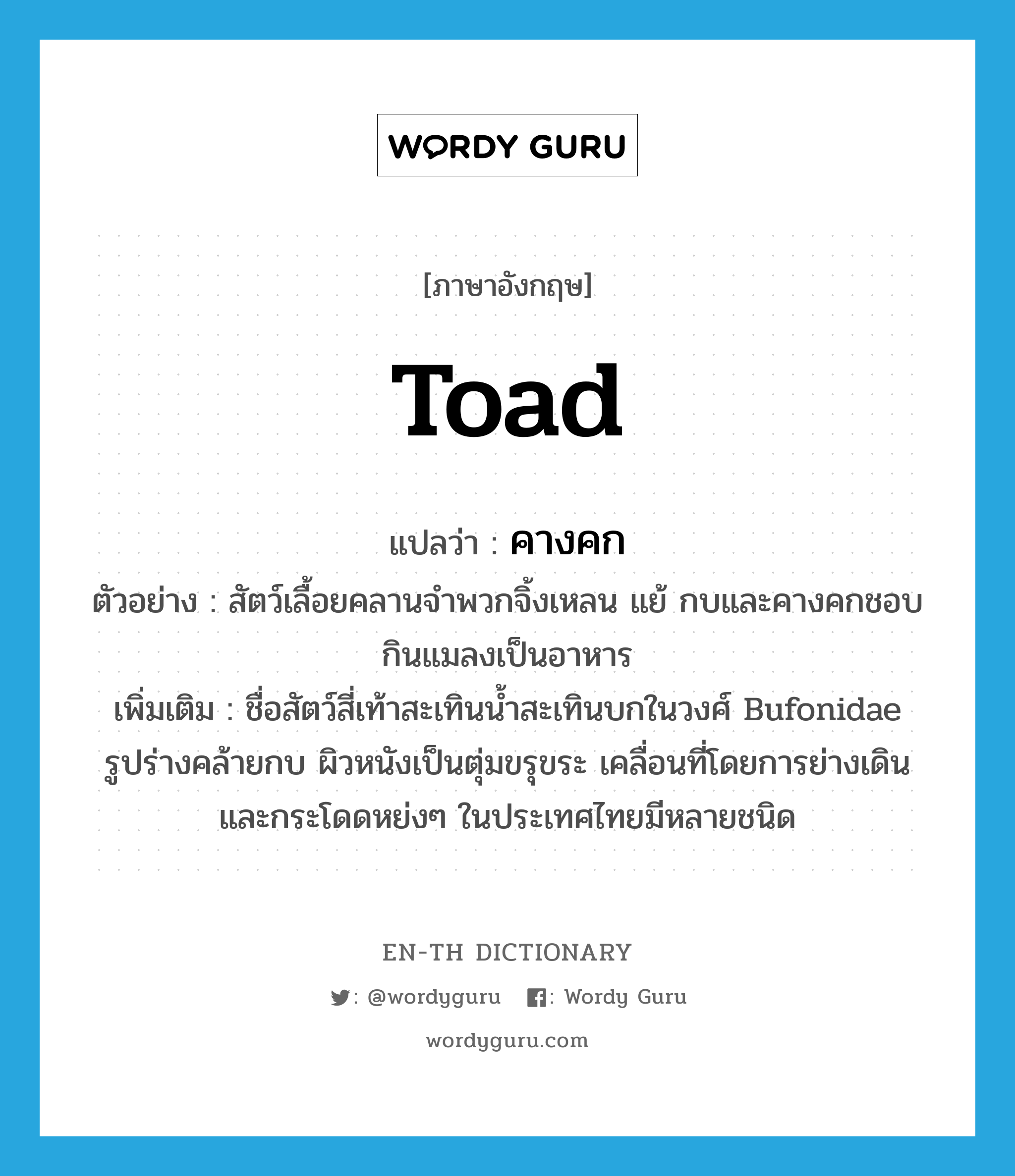 toad แปลว่า?, คำศัพท์ภาษาอังกฤษ toad แปลว่า คางคก ประเภท N ตัวอย่าง สัตว์เลื้อยคลานจำพวกจิ้งเหลน แย้ กบและคางคกชอบกินแมลงเป็นอาหาร เพิ่มเติม ชื่อสัตว์สี่เท้าสะเทินน้ำสะเทินบกในวงศ์ Bufonidae รูปร่างคล้ายกบ ผิวหนังเป็นตุ่มขรุขระ เคลื่อนที่โดยการย่างเดินและกระโดดหย่งๆ ในประเทศไทยมีหลายชนิด หมวด N