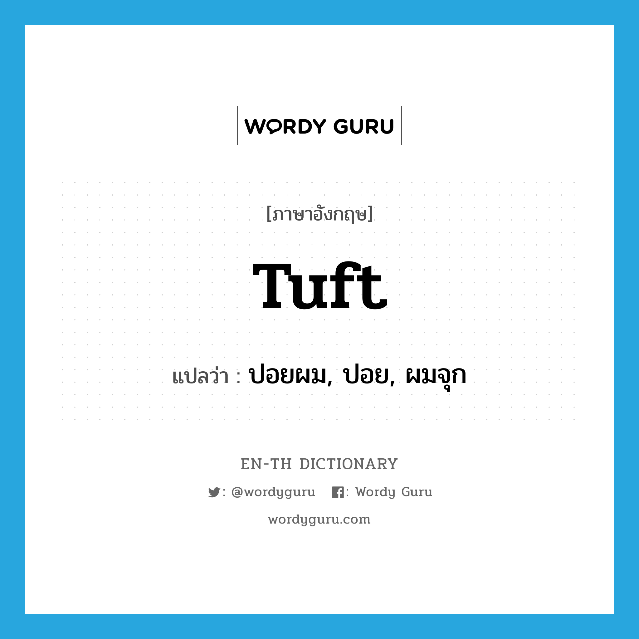 tuft แปลว่า?, คำศัพท์ภาษาอังกฤษ tuft แปลว่า ปอยผม, ปอย, ผมจุก ประเภท N หมวด N